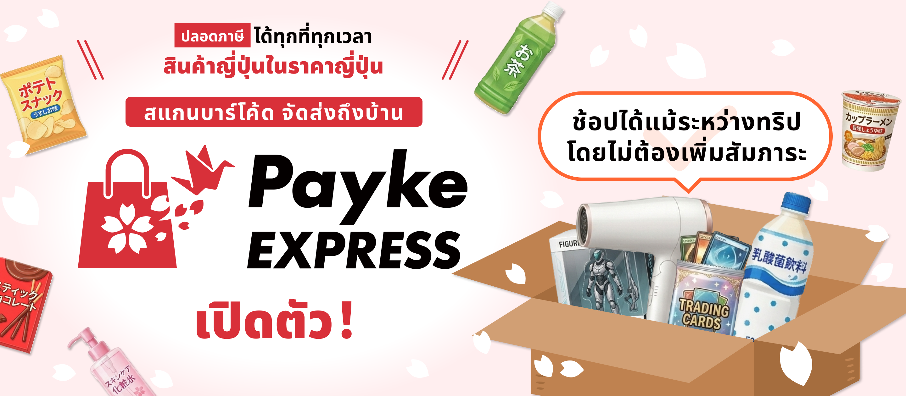 Payke Express