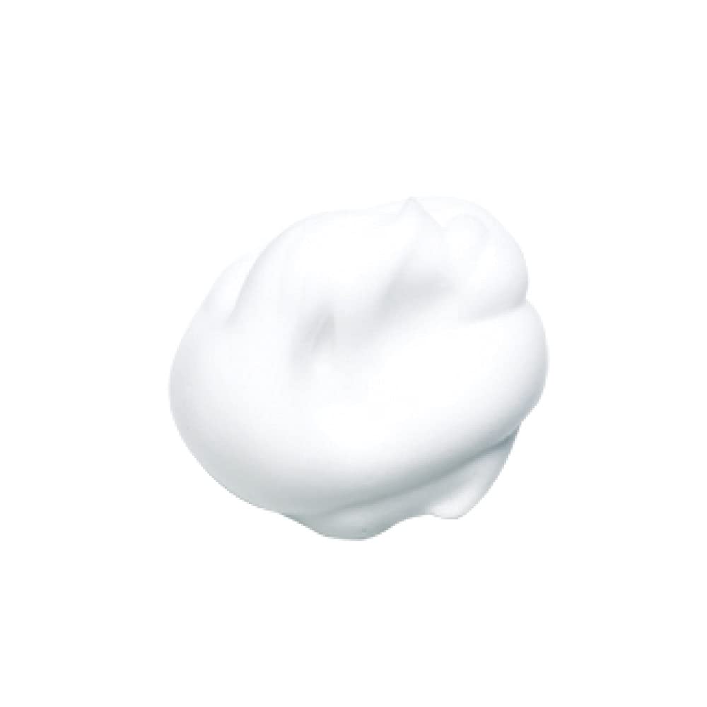 KANEBO Refreshing Creamy Wash A Face Wash 130g Cream Type Rich Foam Removes Dead Skin and Dullness Also for Men