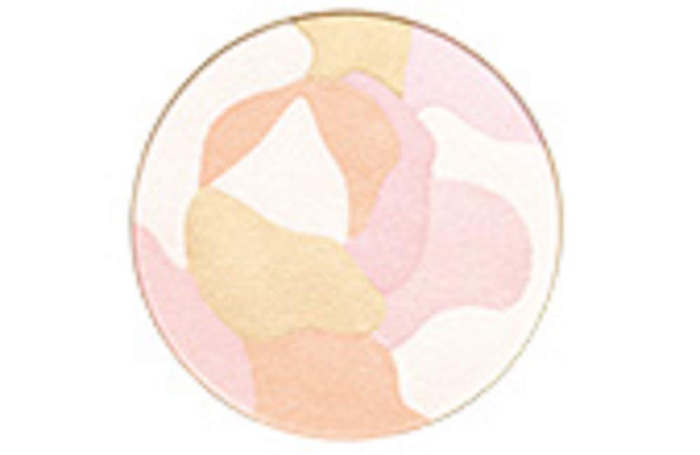 Noevir Speciale Melangerie Compact 02 Bright Pink (Brush and special bag included) (11g)