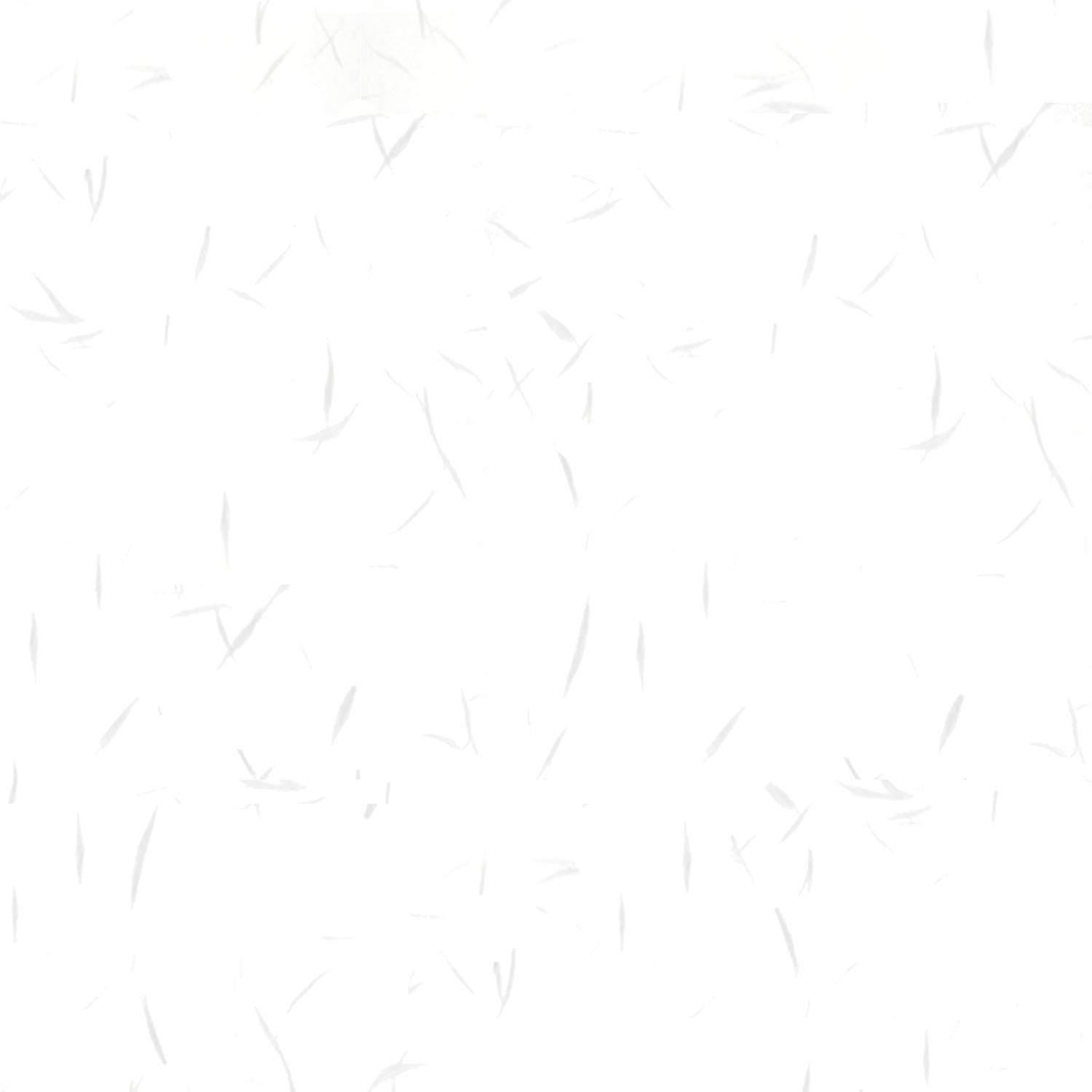 Nagatoya Shoten OA Washi Japanese Paper [Nagogami] A4 Tairei White 25 Sheets Na-761