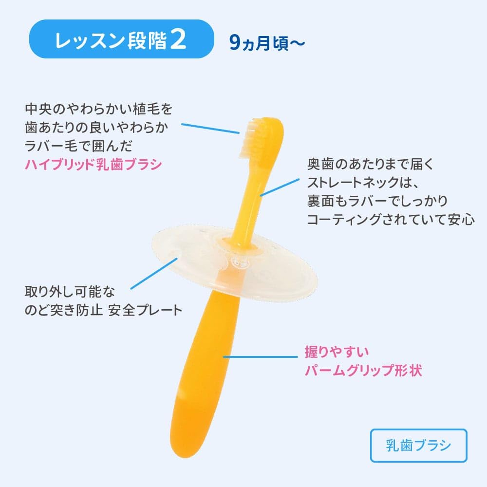 Pigeon Milk Toothbrush Lesson Stage 2 Orange 1pc (x 1)