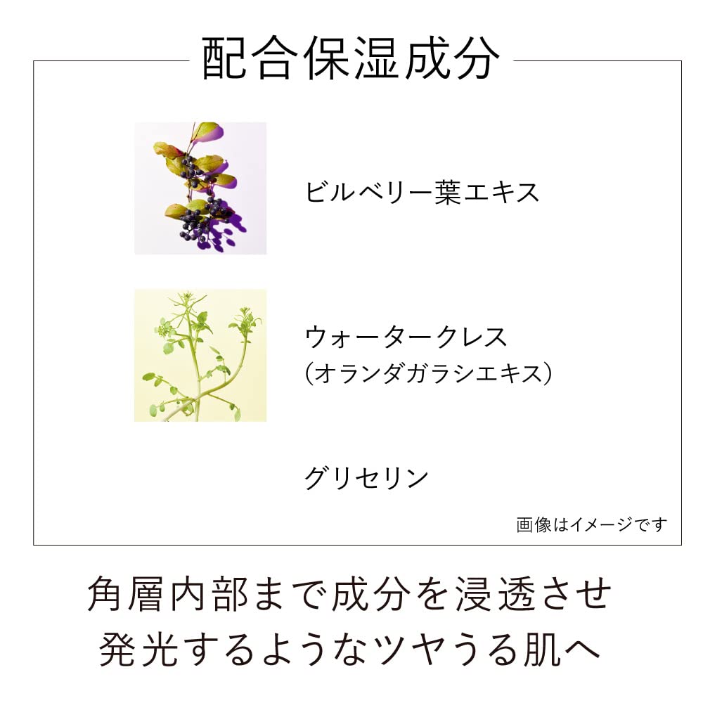 KANEBO Kanebo on Skin Essence F Lotion 125ml