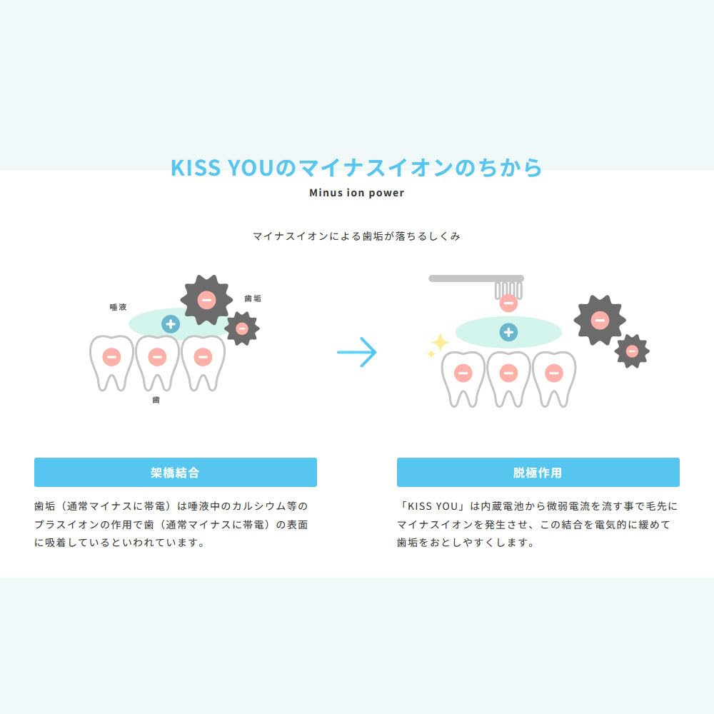 KISS YOU Ion Toothbrush Flat Regular Regular Replacement Brush (2 pieces) *Color cannot be selected