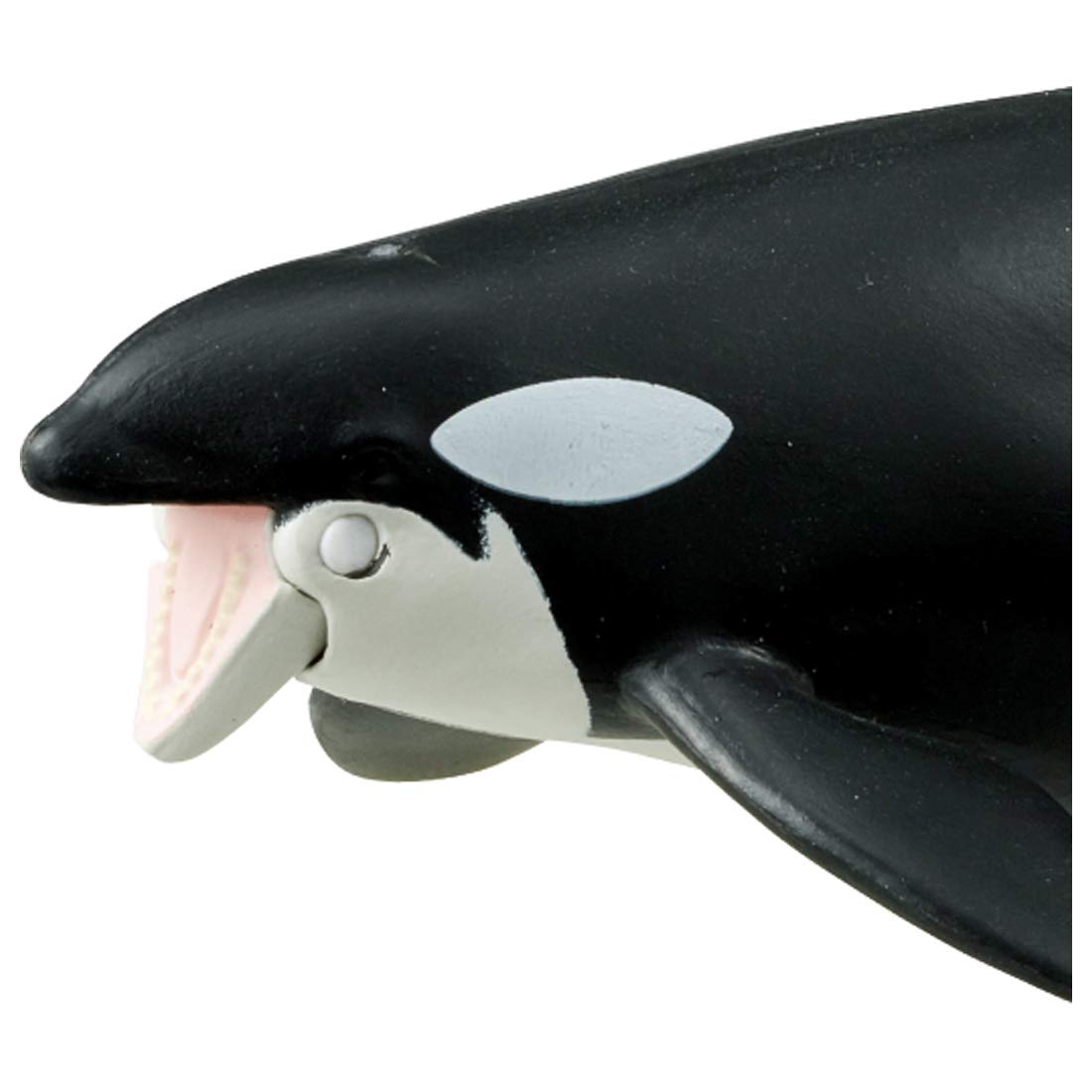 타카라 토미 (TAKARA TOMY) 아니아 AL-08 범고래 부모와 자식 (물에 떠있는 Ver.) 동물 공룡 장난감 3 세 이상