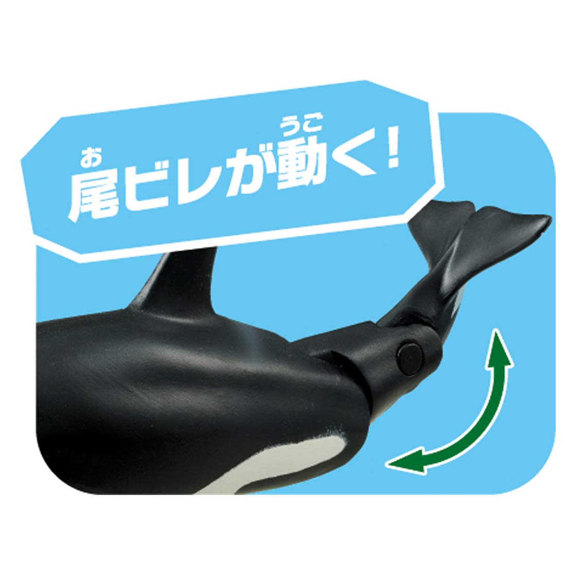 타카라 토미 (TAKARA TOMY) 아니아 AL-08 범고래 부모와 자식 (물에 떠있는 Ver.) 동물 공룡 장난감 3 세 이상