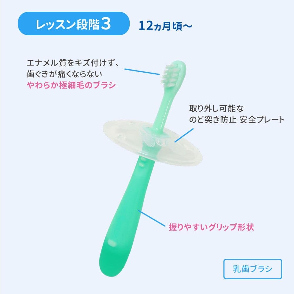 Pigeon Baby Toothbrush Lesson Stage 3 2 Bottles 12 Months ~ Green 2 Pieces (x 1)