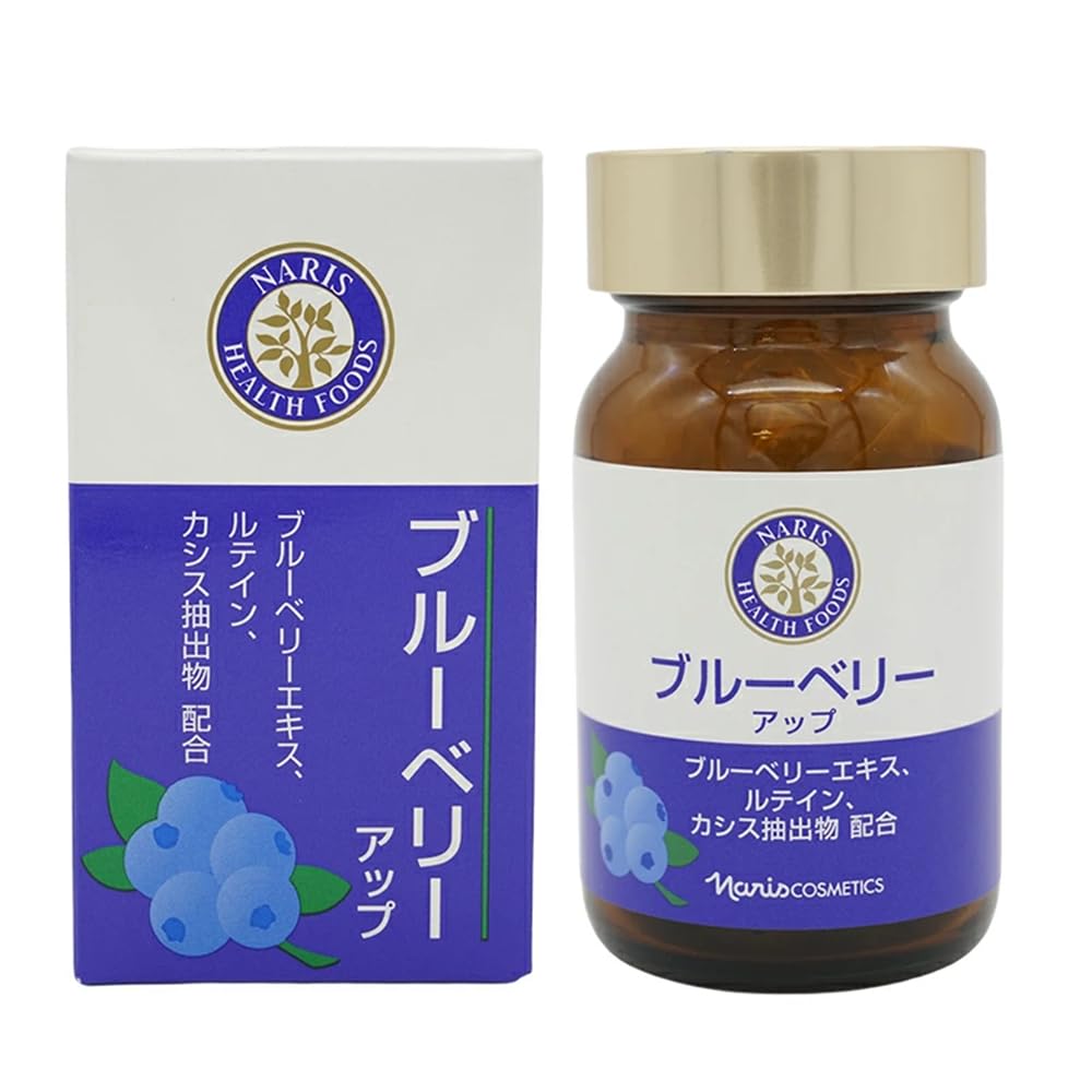 나리스 블루베리 업 27g(450ml×60립)