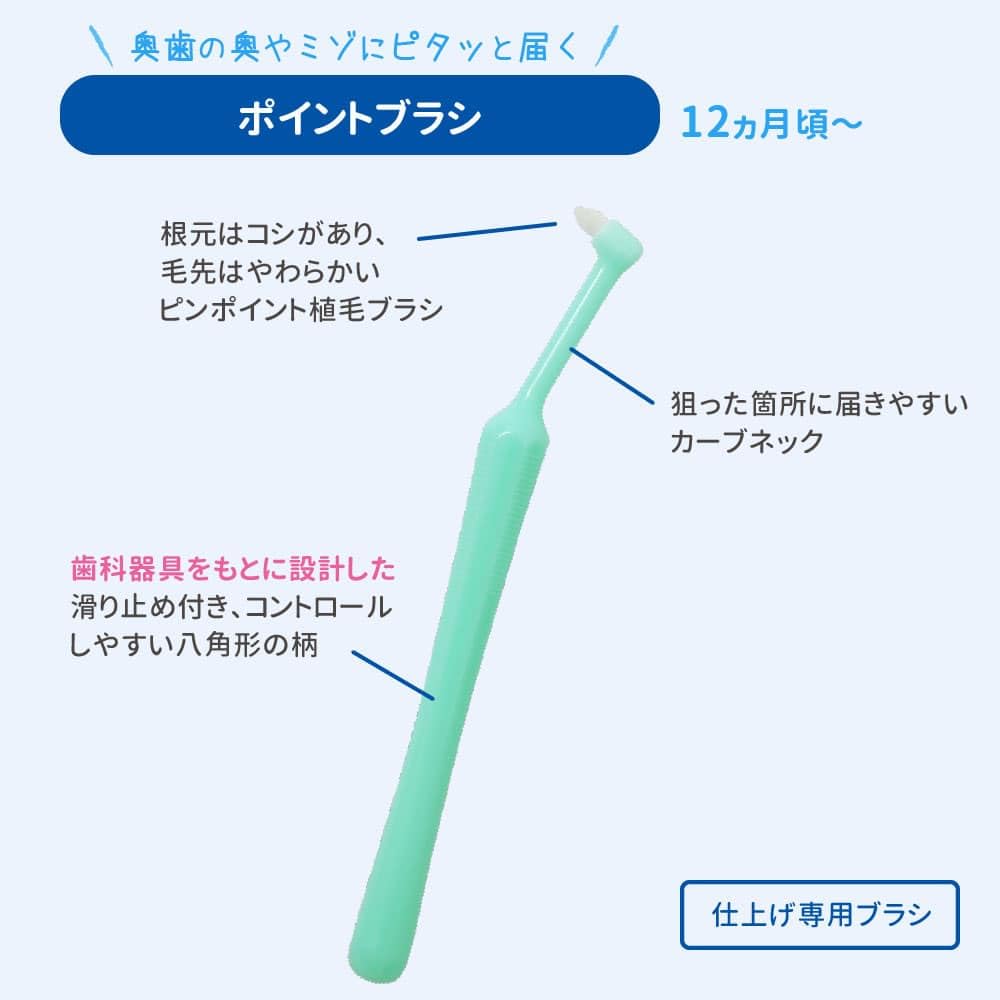 비둘기 유치 케어 마무리 전용