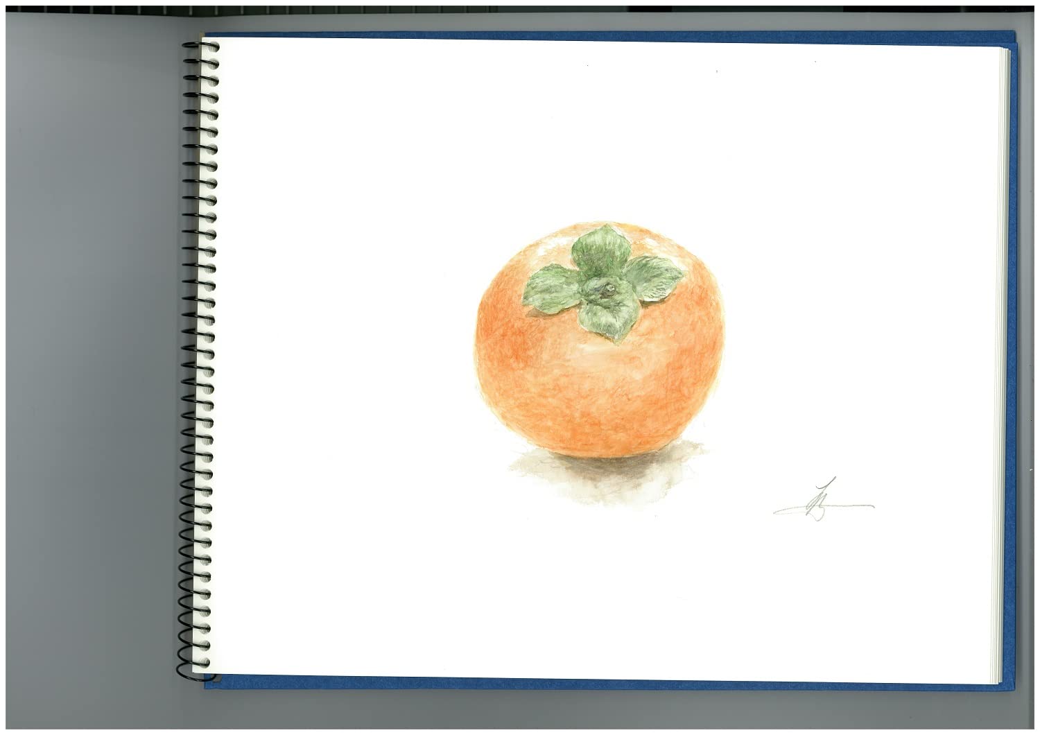 Maruman Sketchbook F0 Vifuar Watercolor Paper Fine 15 Sheets S30VA