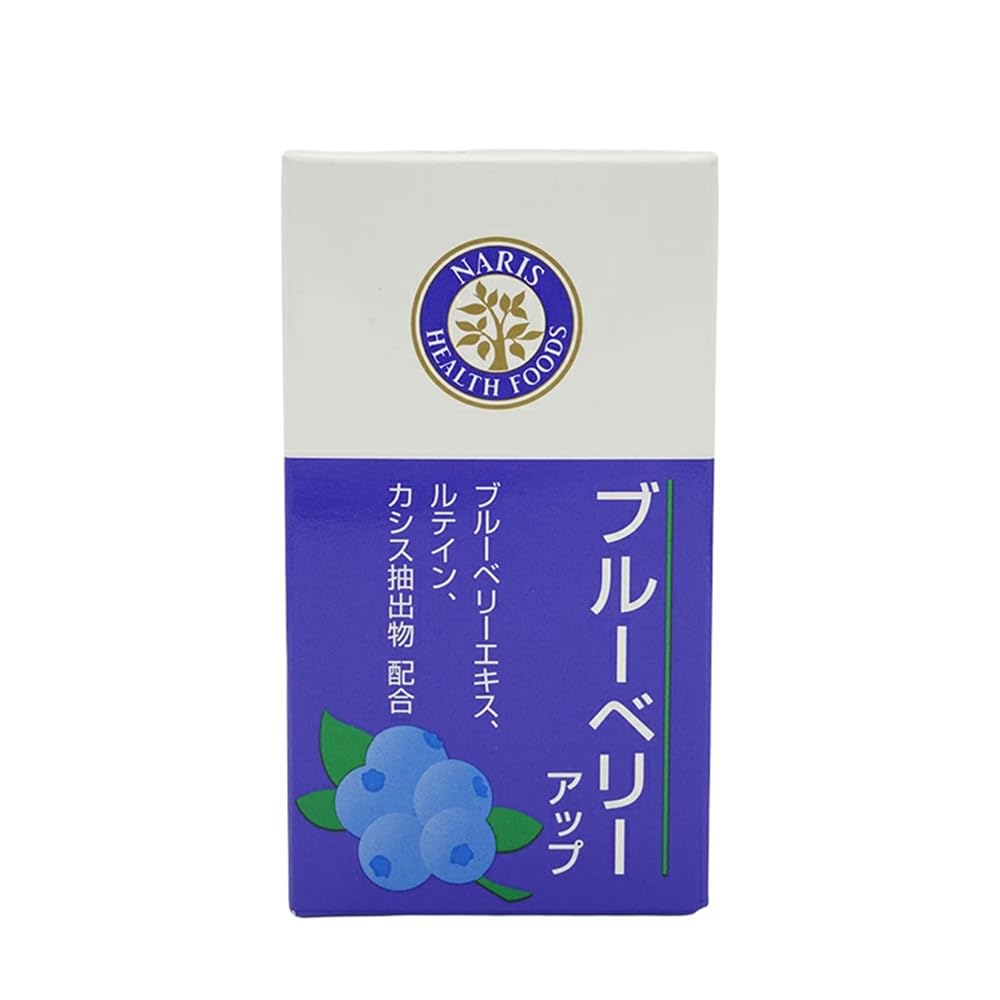 나리스 블루베리 업 27g(450ml×60립)