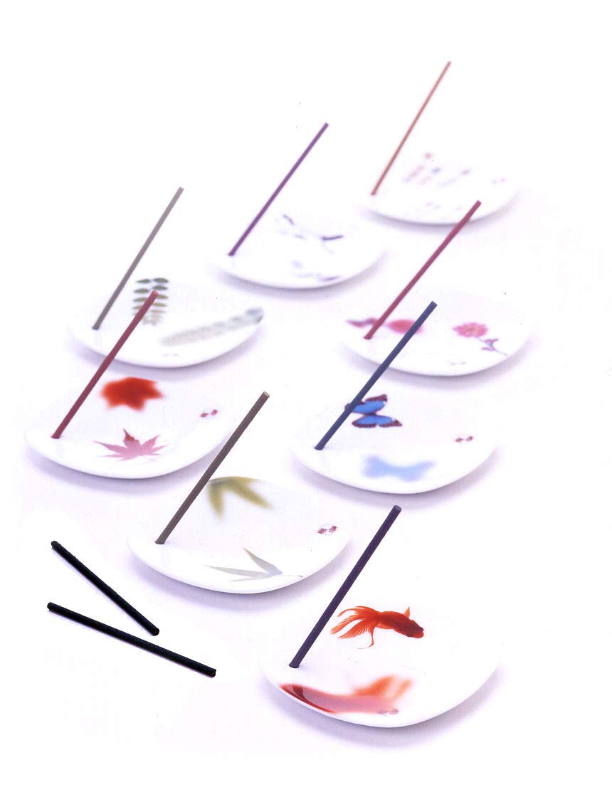 꿈의 꿈 동향