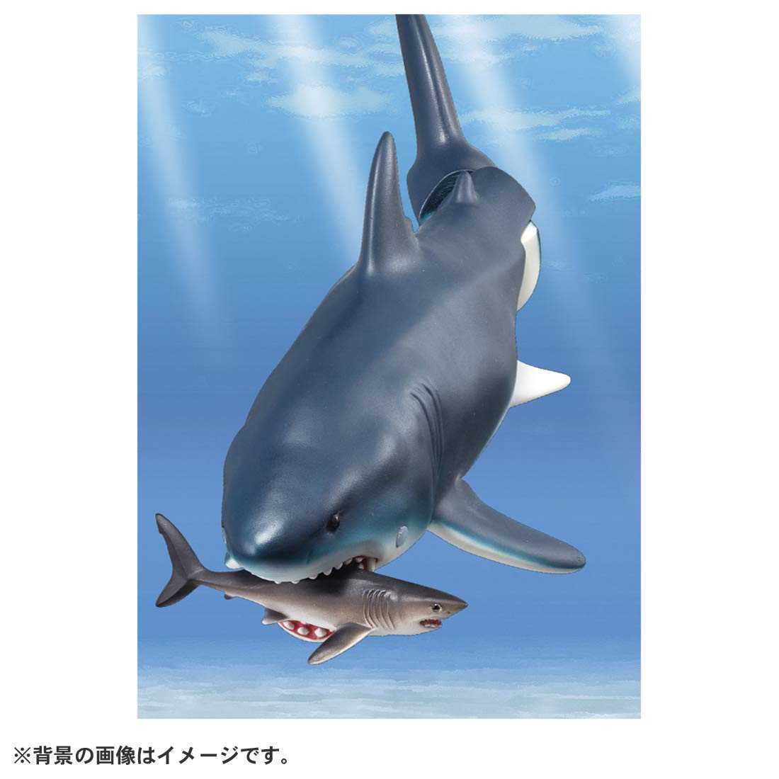 Takara Tomy Ania AL-11 Megalodon (Floating Ver.) Animal Dinosaur Toy Ages 3+