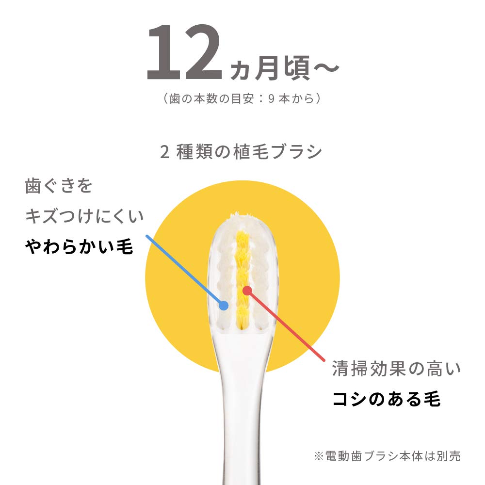 비둘기 처음 마무리 전용 전동 칫솔 교체 브러시 (12 개월경부터) 비둘기의 전동 칫솔 공통으로 사용 가능