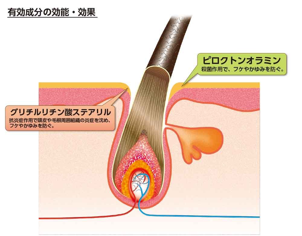 카미노소 약용 헤어 컨디셔너 B&P 300mL 【의약부외품】