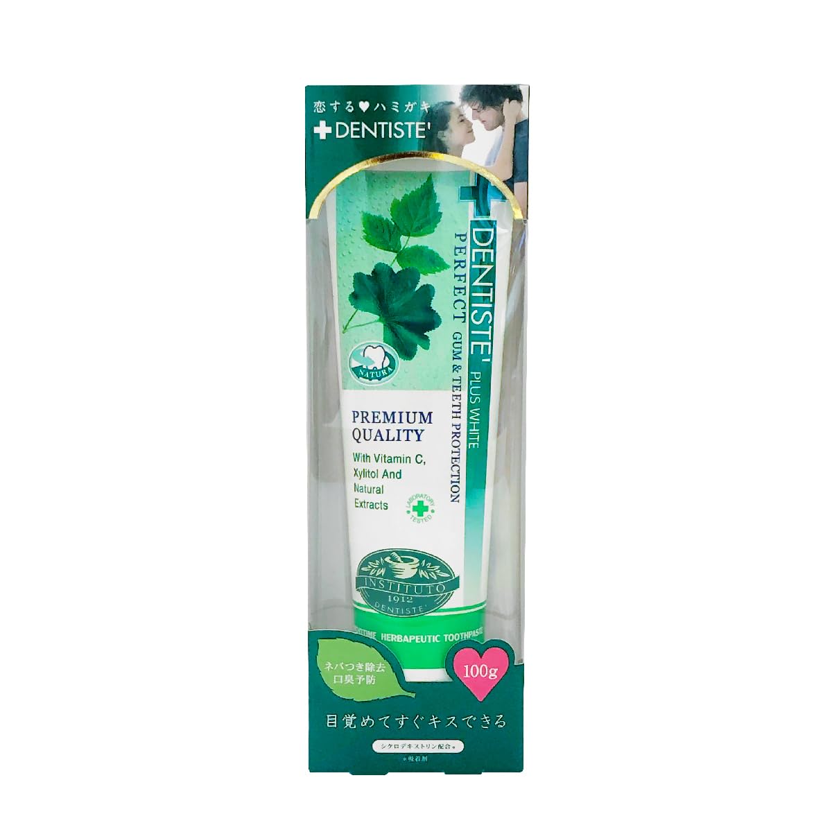 Dentis Etiquette Paste Toothpaste Powder 100g Mint