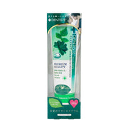 Dentis Etiquette Paste Toothpaste Powder 100g Mint