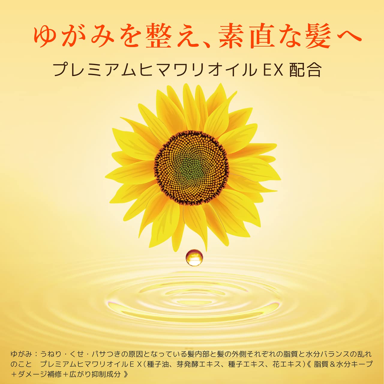 디아 보테 [리치 & 리페어] 오일 인 샴푸 병 500ml | 해바라기 비 실리콘 아미노산