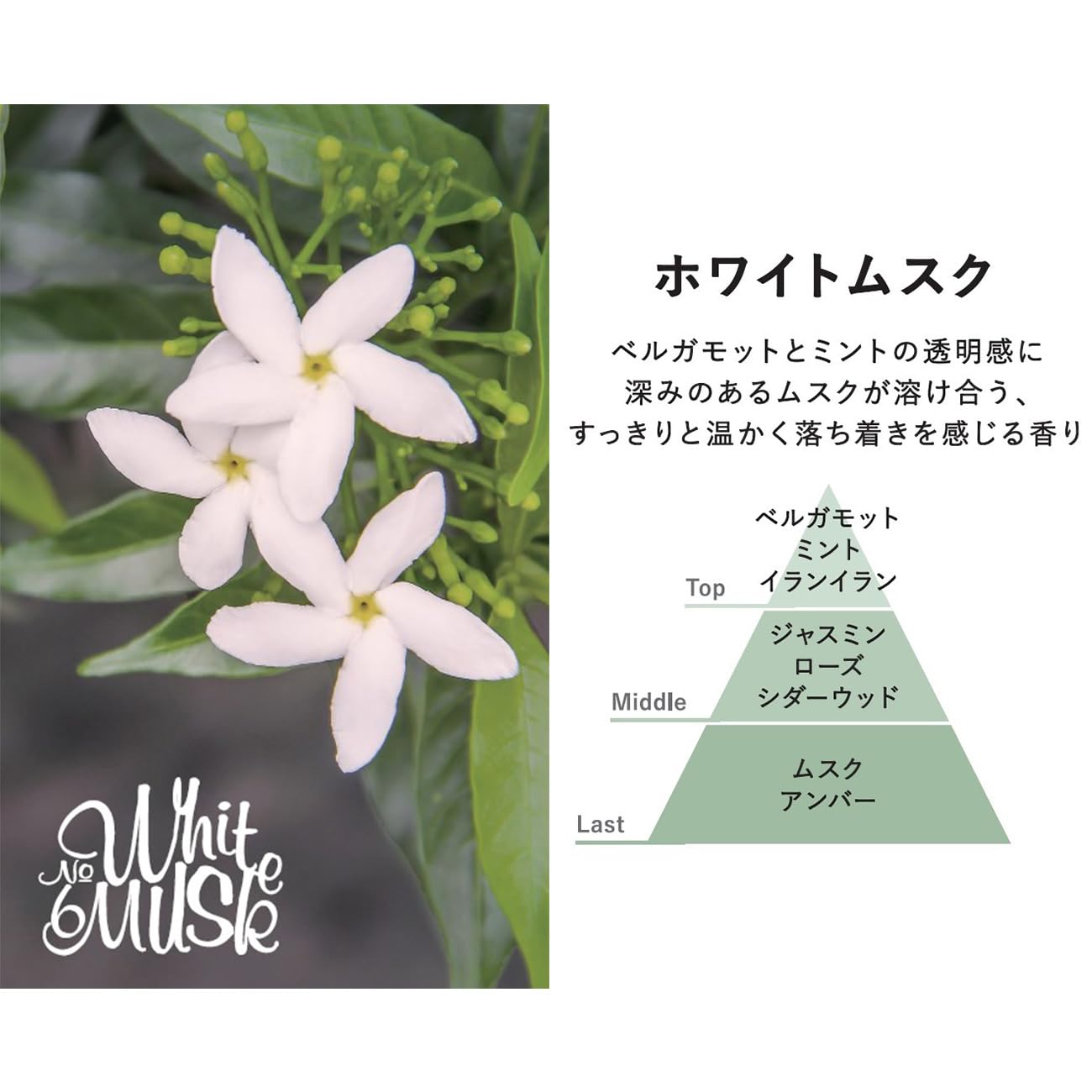 Grancense(그란센스) 핸드 크림 화이트 무스크 40 g(보습 세련된 심플 고급감 모던 멋있다) 여성 남성 인기 감사 송별