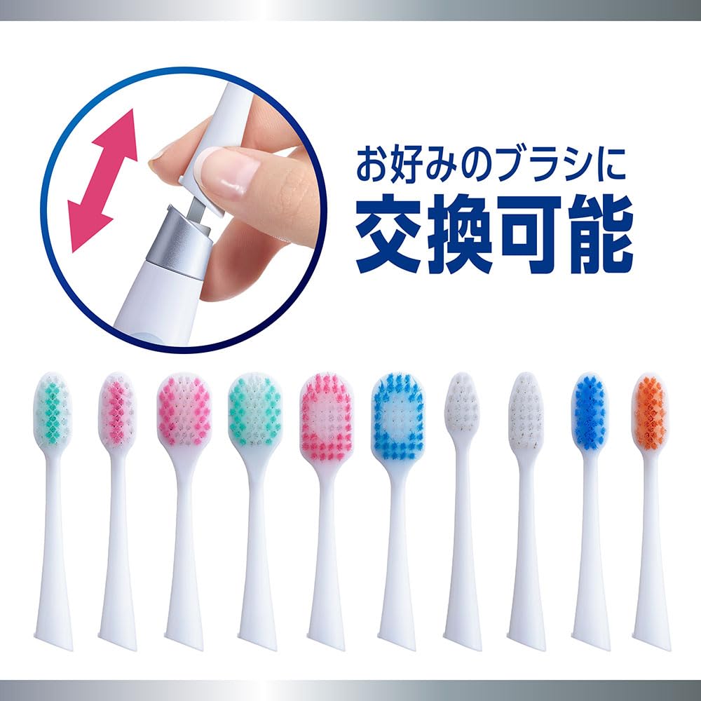 Systema Lion electric assist brush body 1 piece