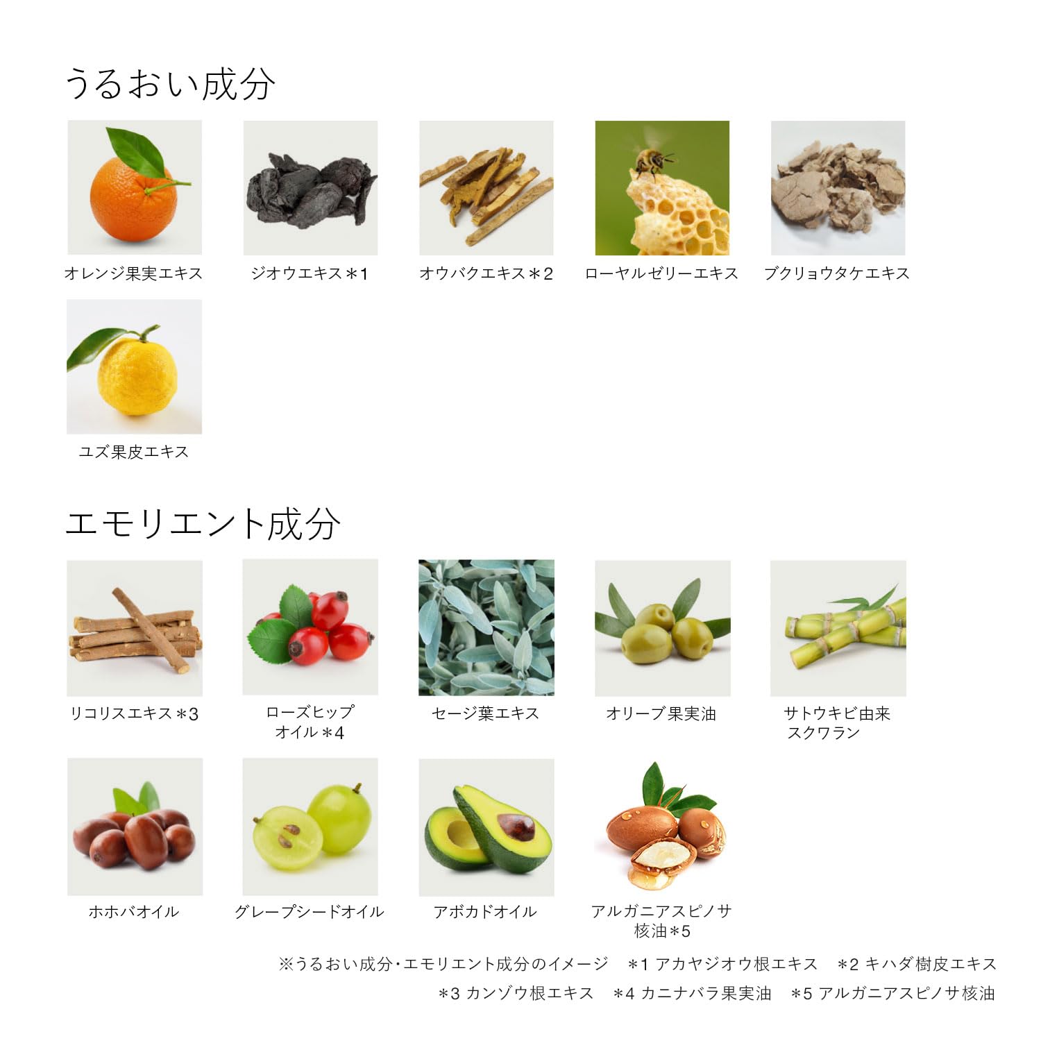 [RMK] RMK W 트리트먼트 오일 50mL (미용 오일 페이스 오일 도입 미용액 도입액 보습 성분<아르간 오일 로즈힙 오일 호호바 오일> 오일 마사지)
