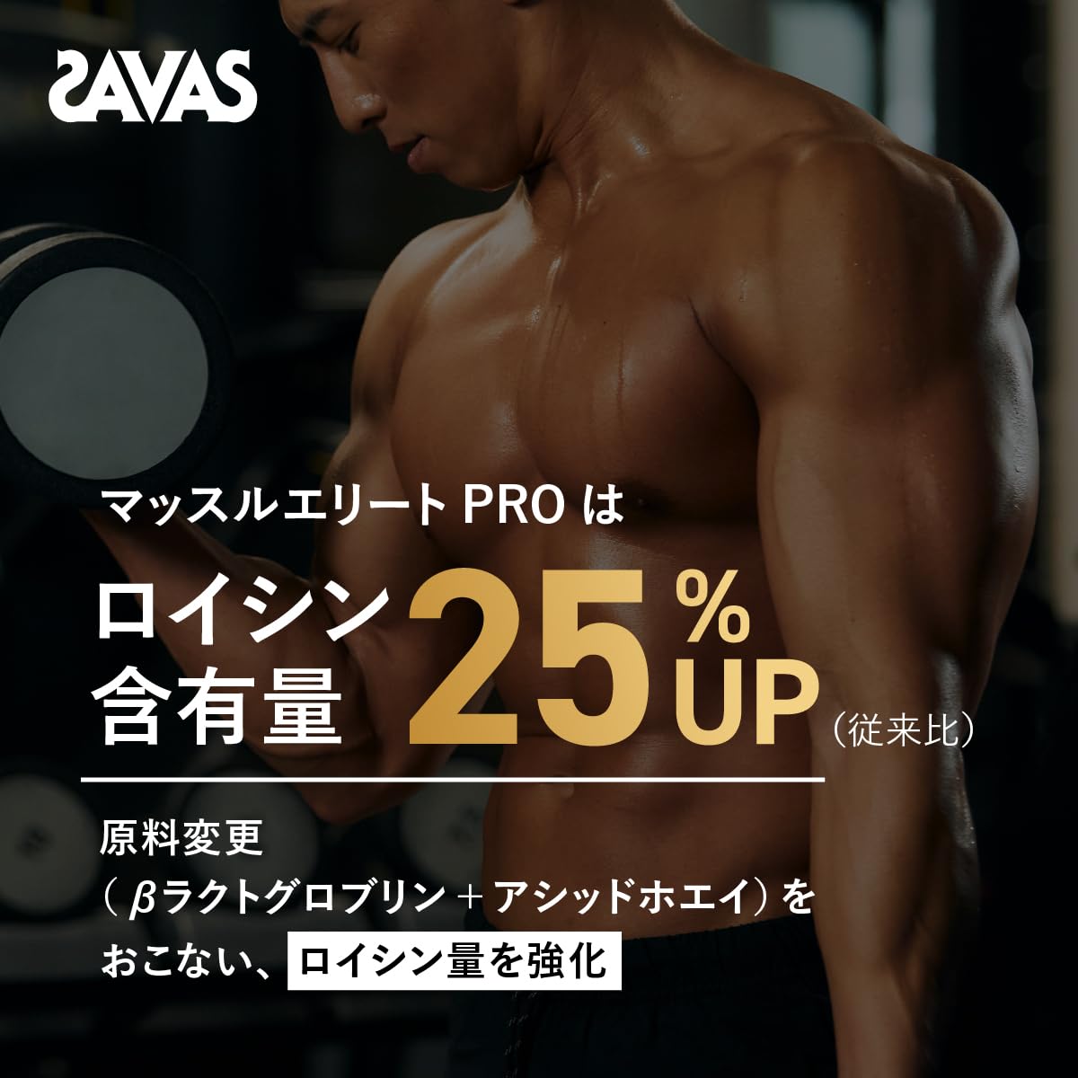 SAVAS Pro Muscle Elite Chocolate Flavor 800g Meiji (No Spoon Included)