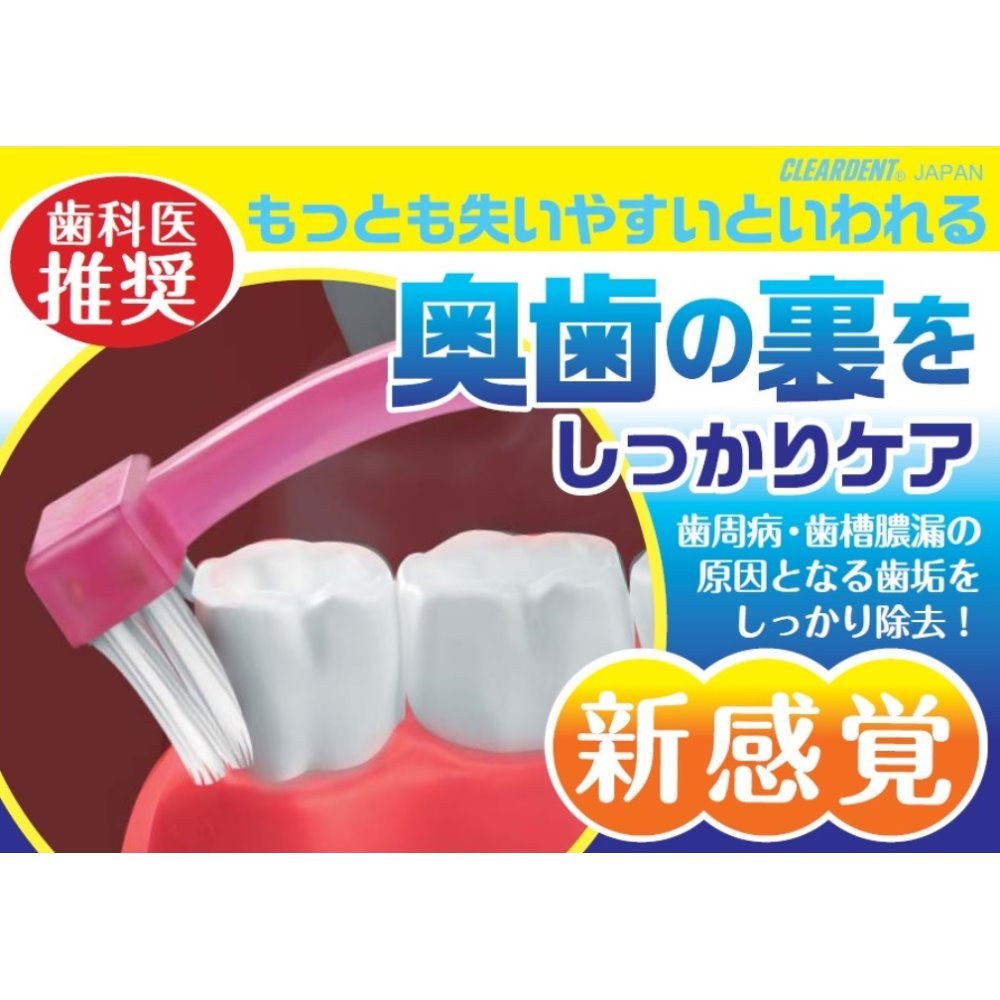Clear Dent Back Fit Brush Pink & Blue Set of 2
