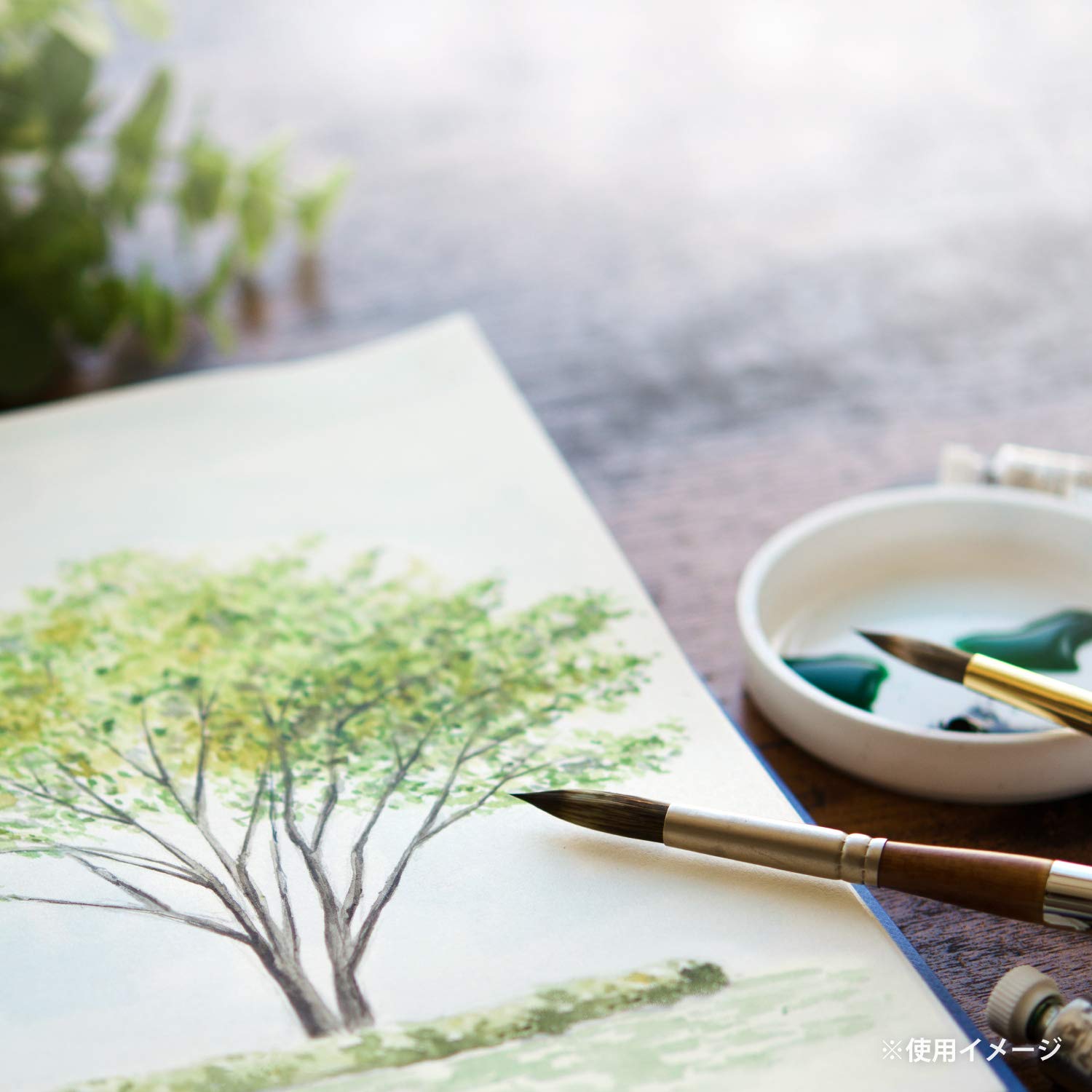Maruman Sketchbook F0 Vifuar Watercolor Paper Fine 15 Sheets S30VA