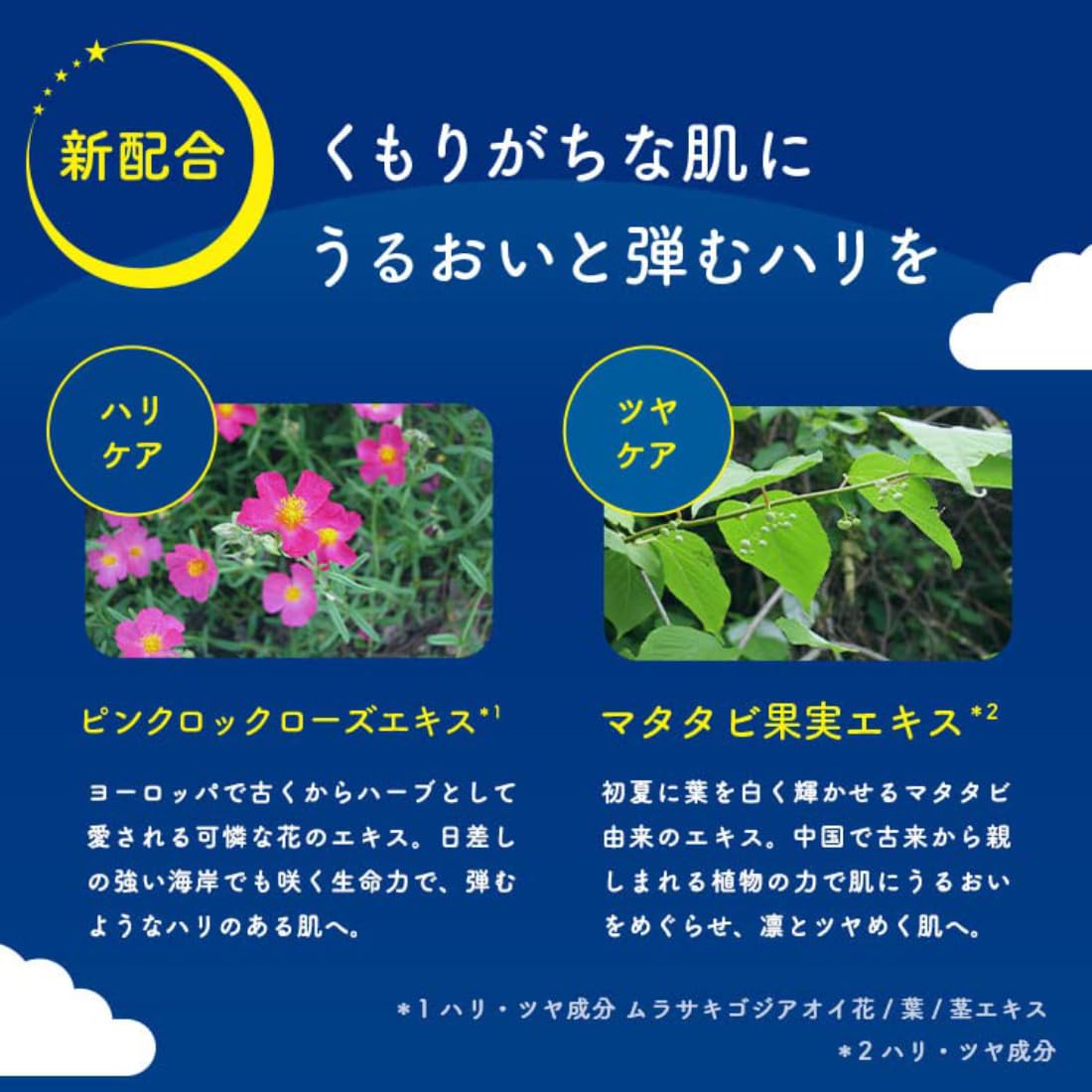 面膜露露露one night救援透明感one night R 4k 35ml ×5袋入紫外线保护，去角质
