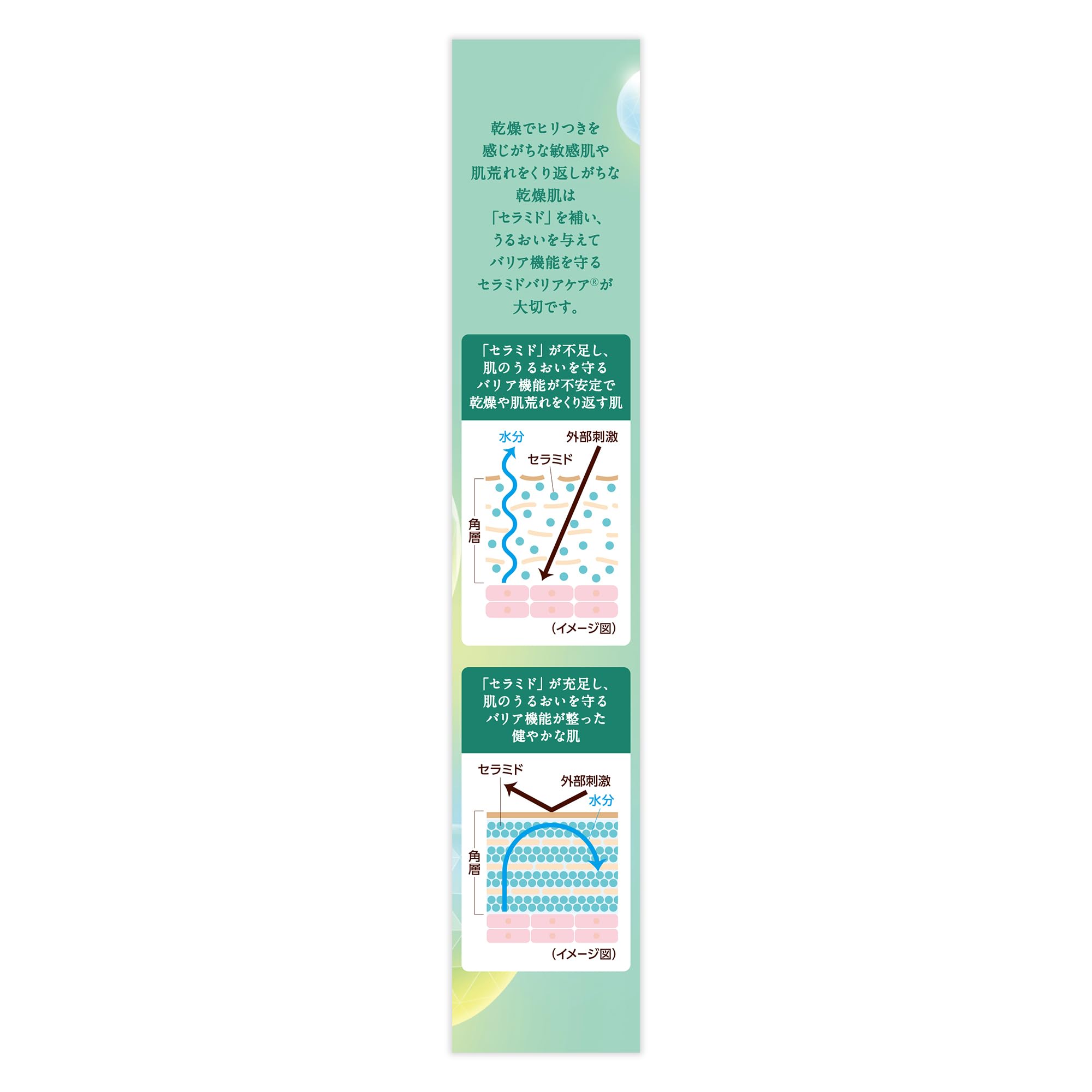케어세라 AP 고보습 베리어 스킨밤 24g (고농도 글리세린 x 8종 천연세라마이드 함유, 고보습) 건성피부 민감피부