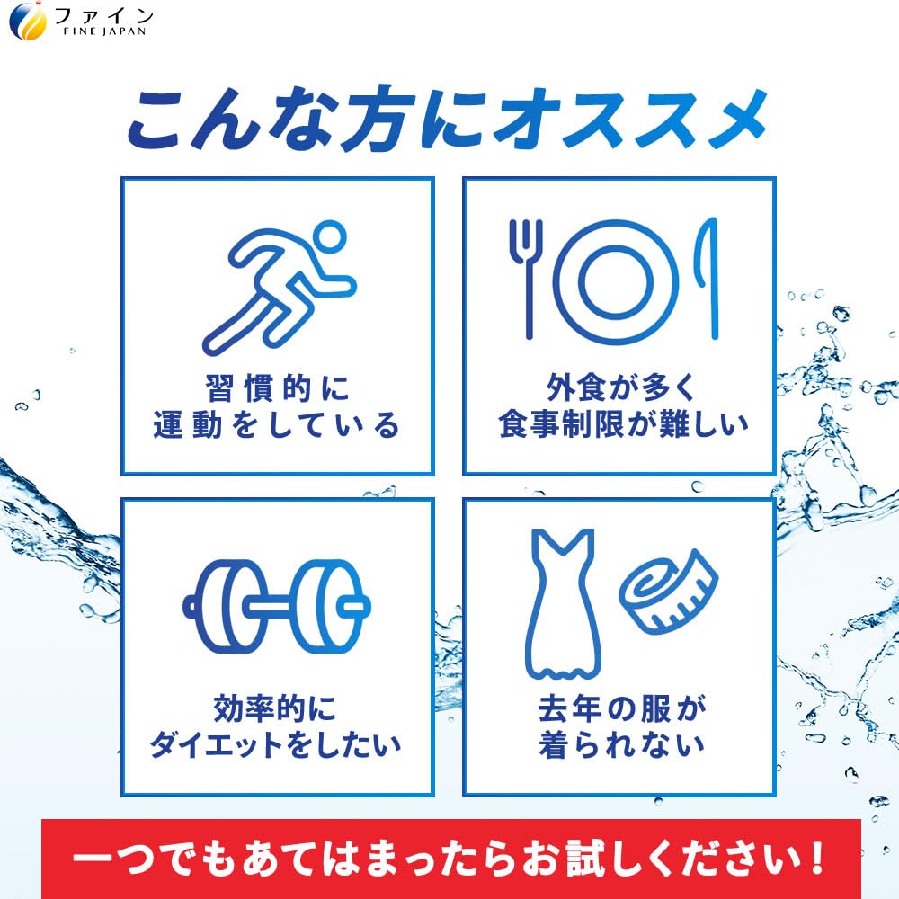 FINE JAPAN [Food with Functional Claims] Ion Drink Combustion Plus Sports Drink Flavor 20 Packets Zero Sugar Zero Fat Hydroxycitric Acid HCA Vitamin C Contains Domestic Production