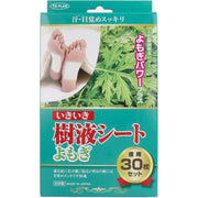 토플란 이키키키 수액 시트 쑥 30장입