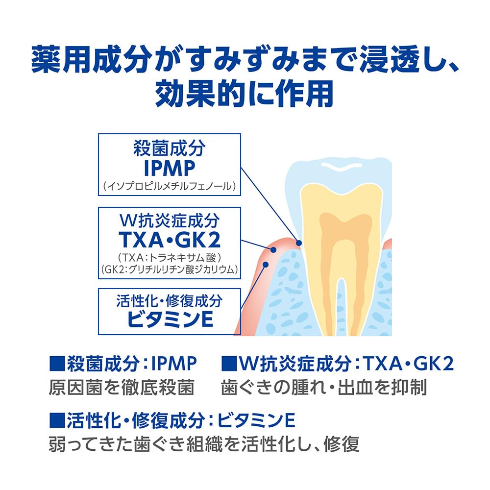 Dent Health [Quasi-drug] Medicated Dental Rinse 450ml