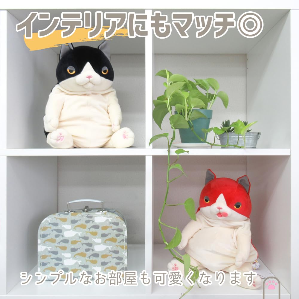 Shinada Global Mochi Series Mochi Cat Siamese (L) 22 x 22 x 30cm Stuffed Cat Animal MONE-0350S