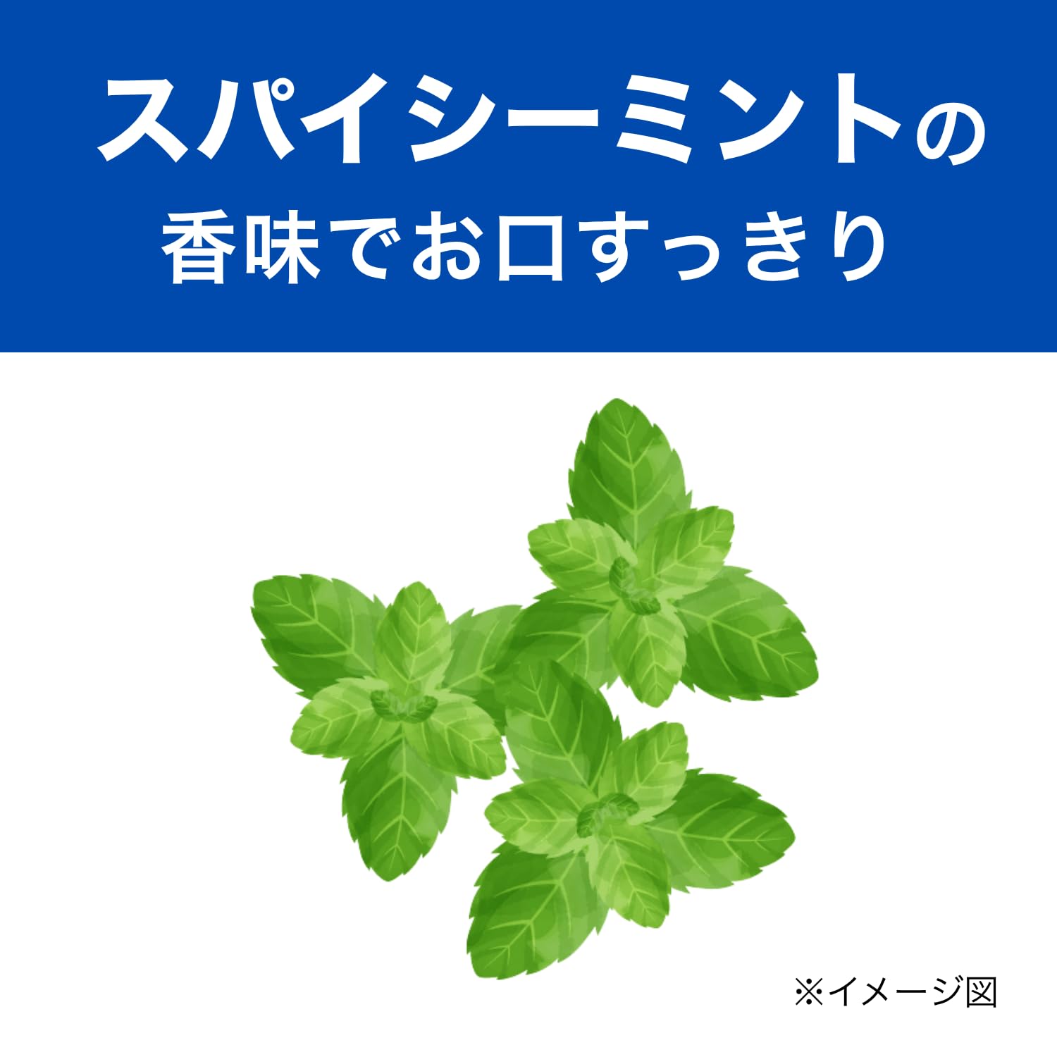 薬用メディカつぶつぶ塩 170g