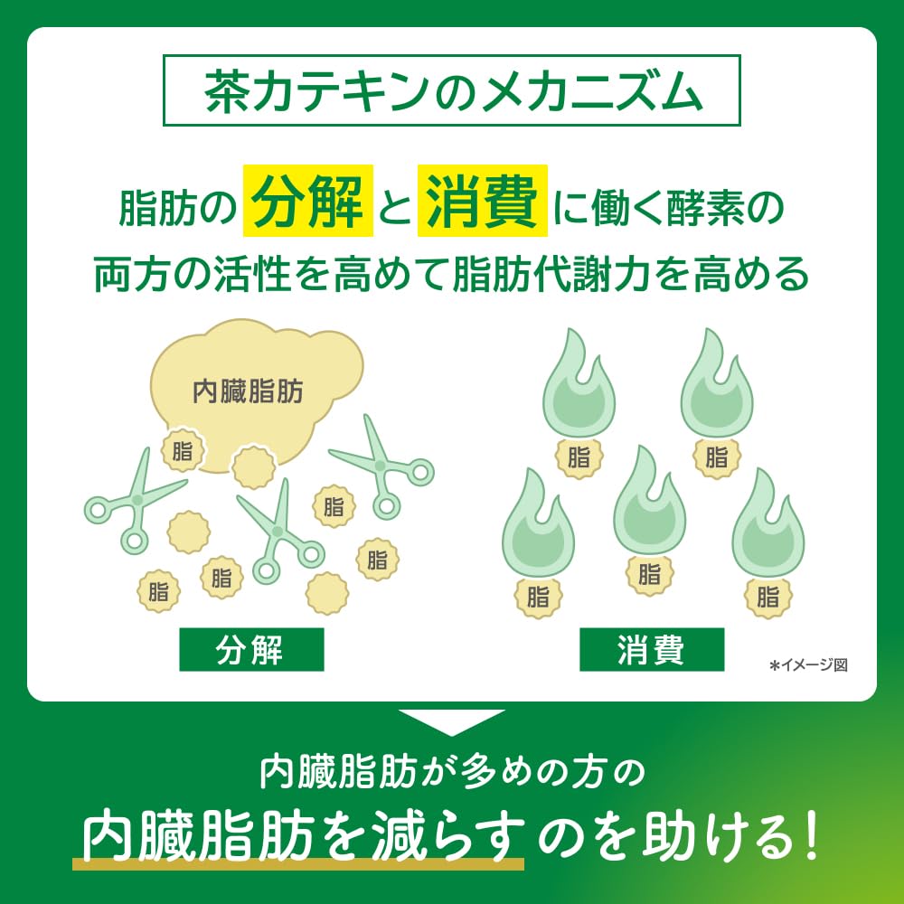 [특보] 기린 헤르시아 녹차 슬림 350ml 24병 페트병 차 무당 내장지방을 줄이는 데 도움