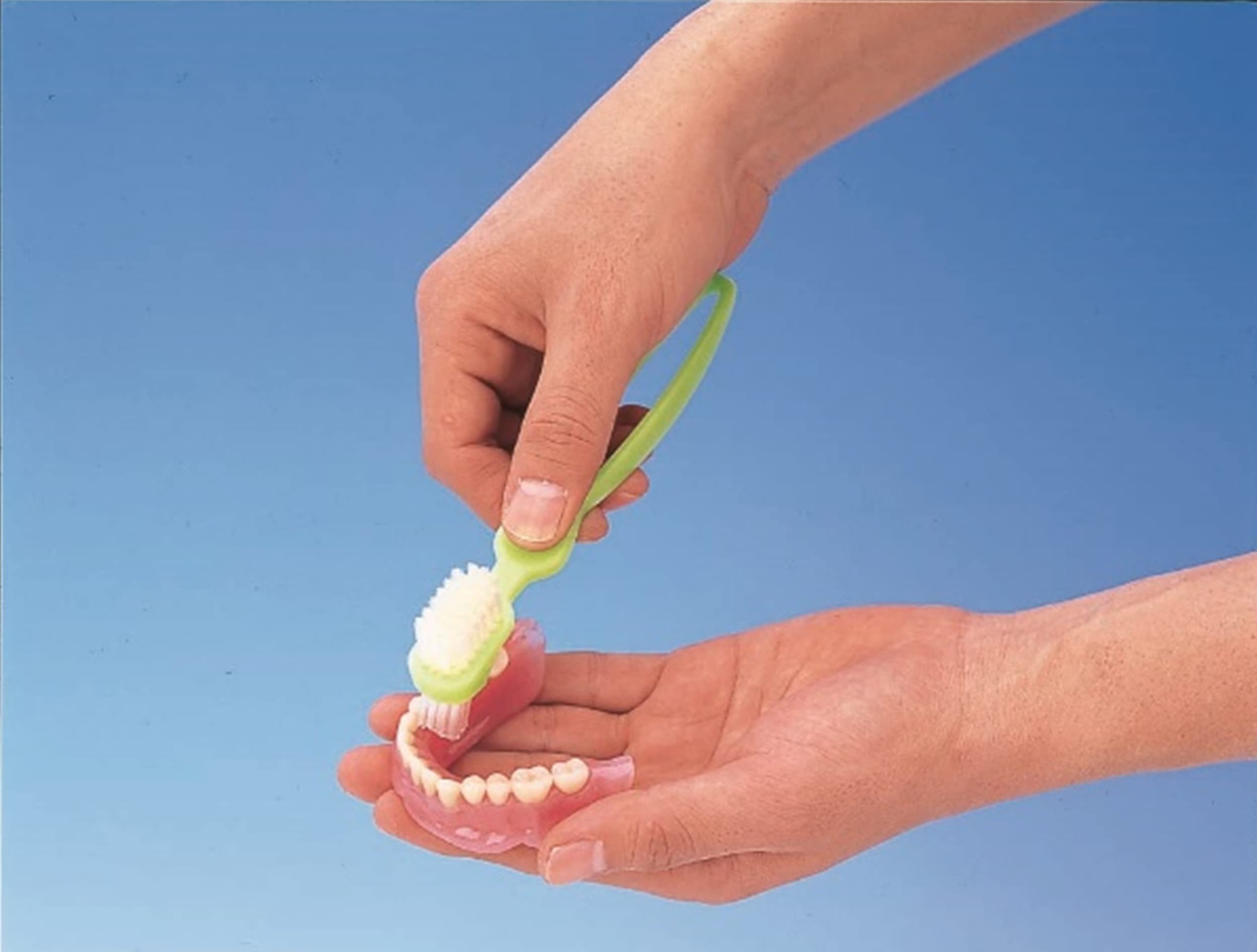 Pigeon Recoup Denture Cleaning Brush Habinurse Clean Smile Denture Care Denture Cleaning Brush Two types of brushes with different hardness Can be stored hanging 1023200