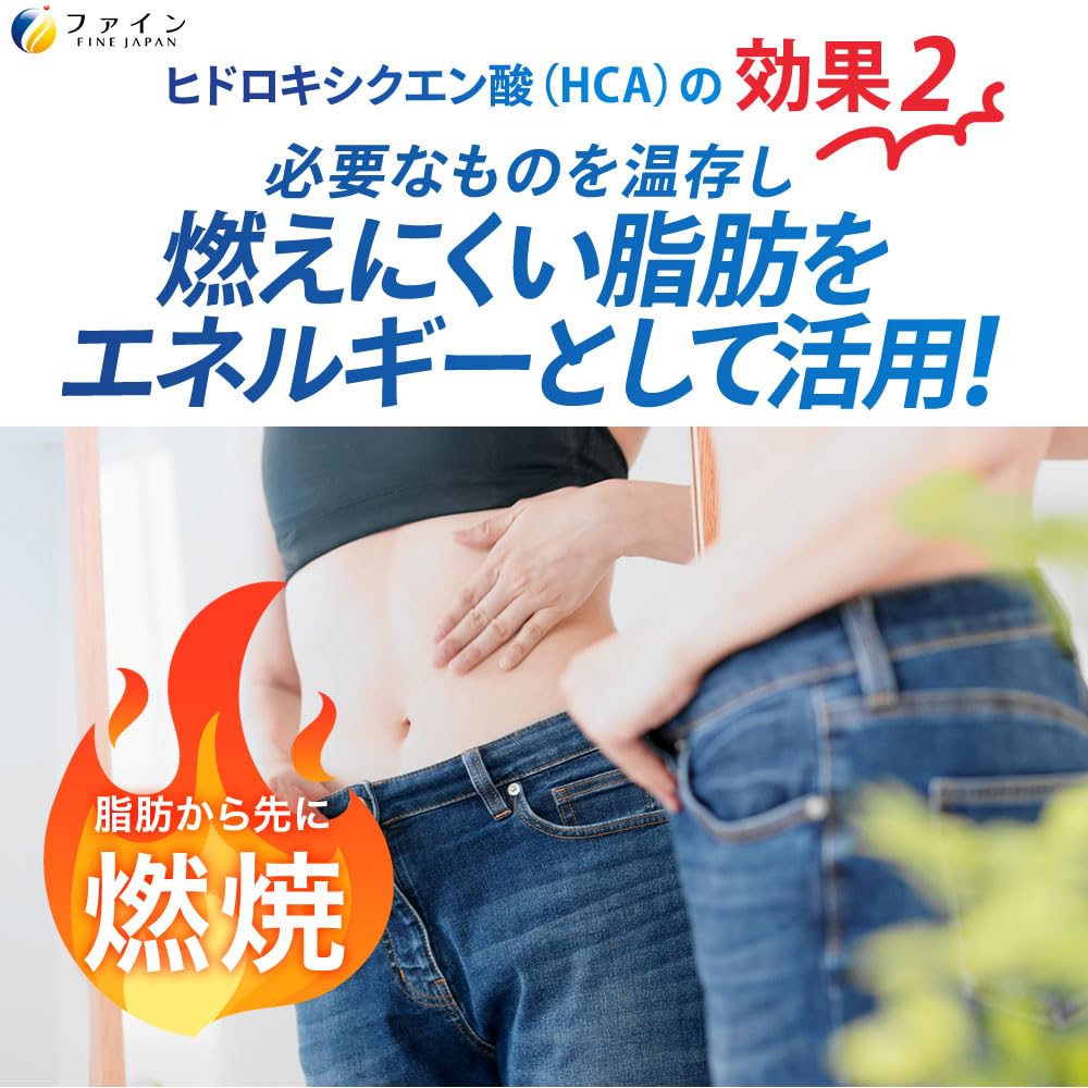 FINE JAPAN [Food with Functional Claims] Ion Drink Combustion Plus Sports Drink Flavor 20 Packets Zero Sugar Zero Fat Hydroxycitric Acid HCA Vitamin C Contains Domestic Production