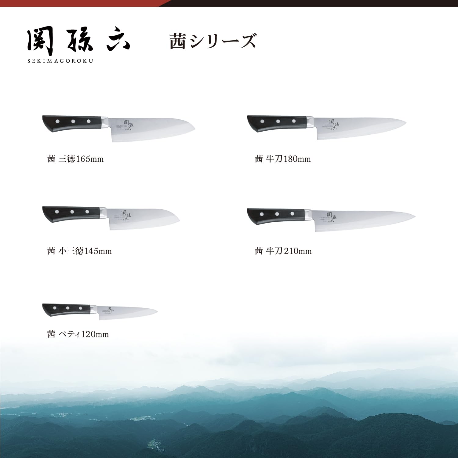 Kai Seki Magoroku Seki Knife Seki Magoroku Akane Gyuto 210mm AE2908