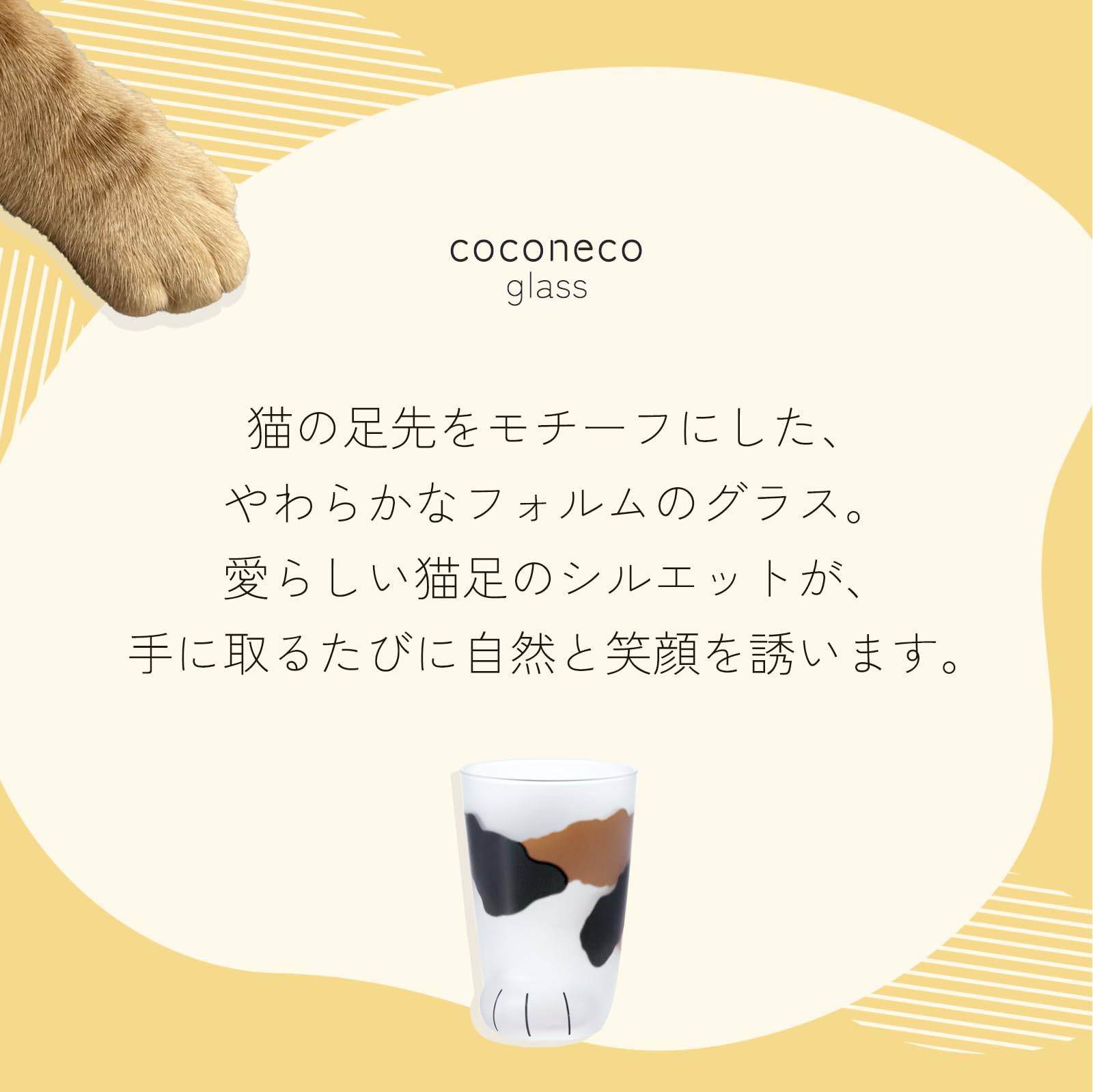 아델리아(ADERIA) 【코코네코 글라스 친 고양이 미케 300ml 화장품 상자 일본제 6679】 하이볼 컵 결혼 축하 맥주 세련된 인기 랭킹 유리 일본술 여성 텀블러 남성 퇴직 위스키 아버지 아내 존경