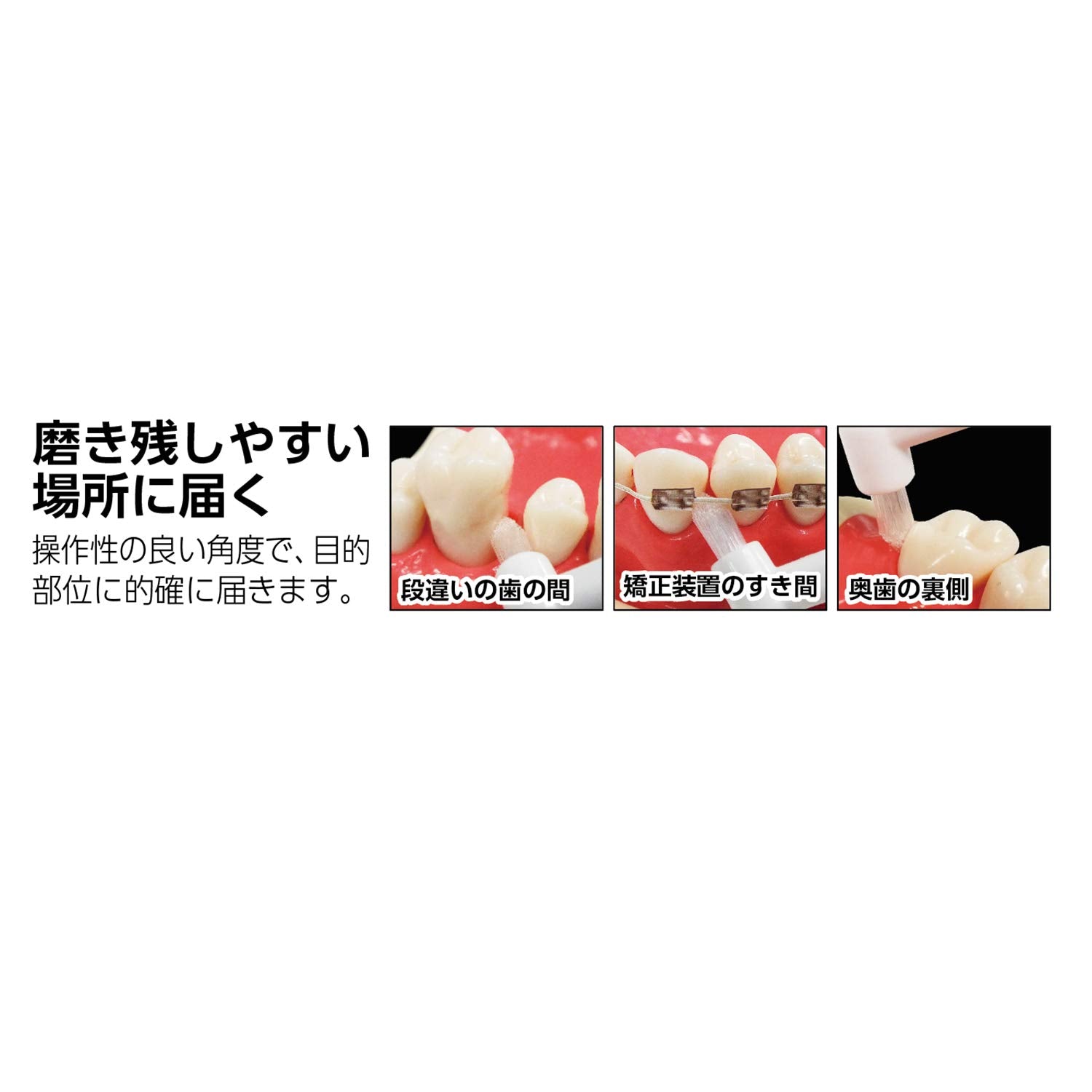 Ebisu point brush