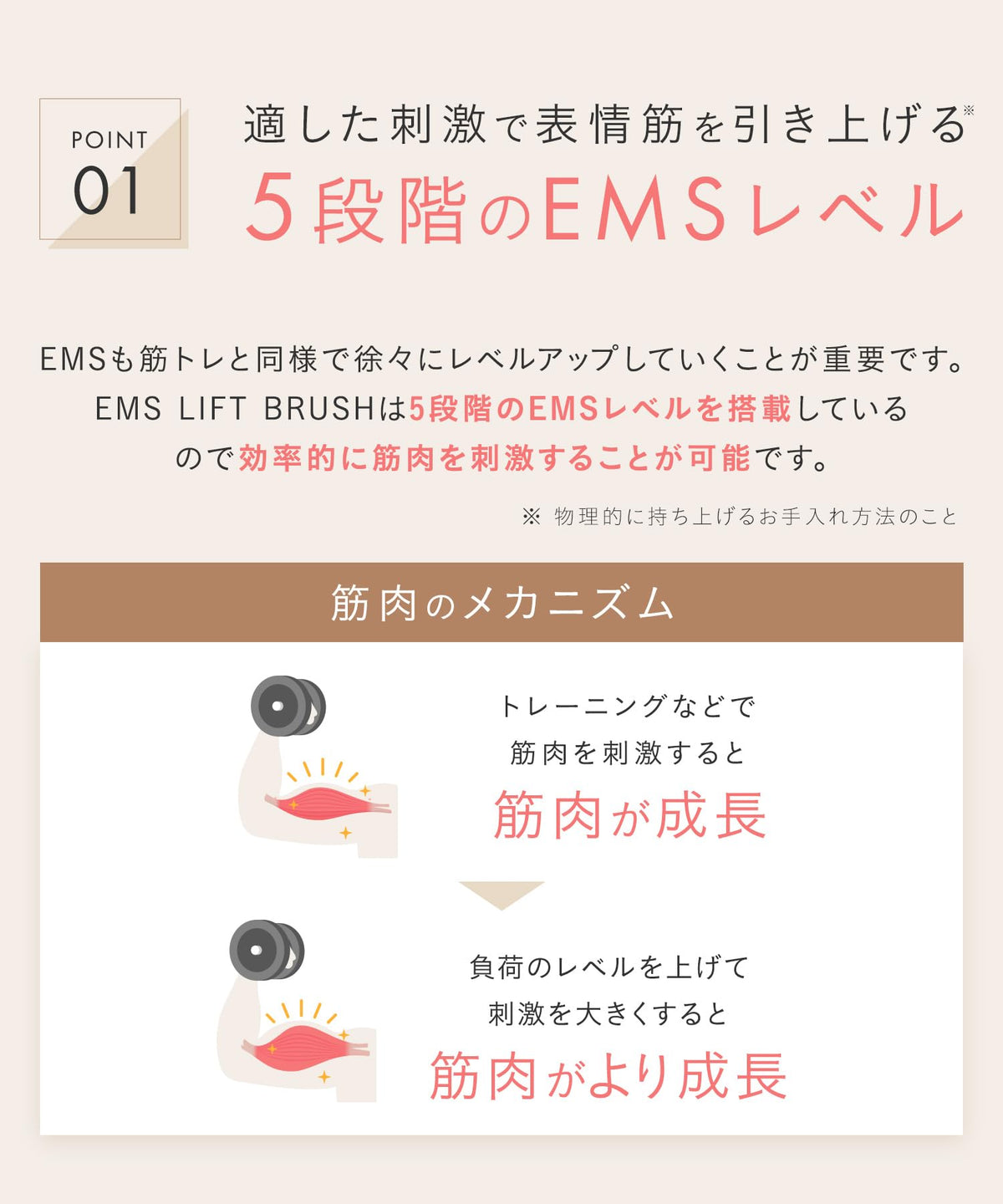 SALONIA 살로니아 EMS 리프트 브러쉬 전기 브러쉬 미안기 전동 두피 브러시 리프트 업 SAL22206SL
