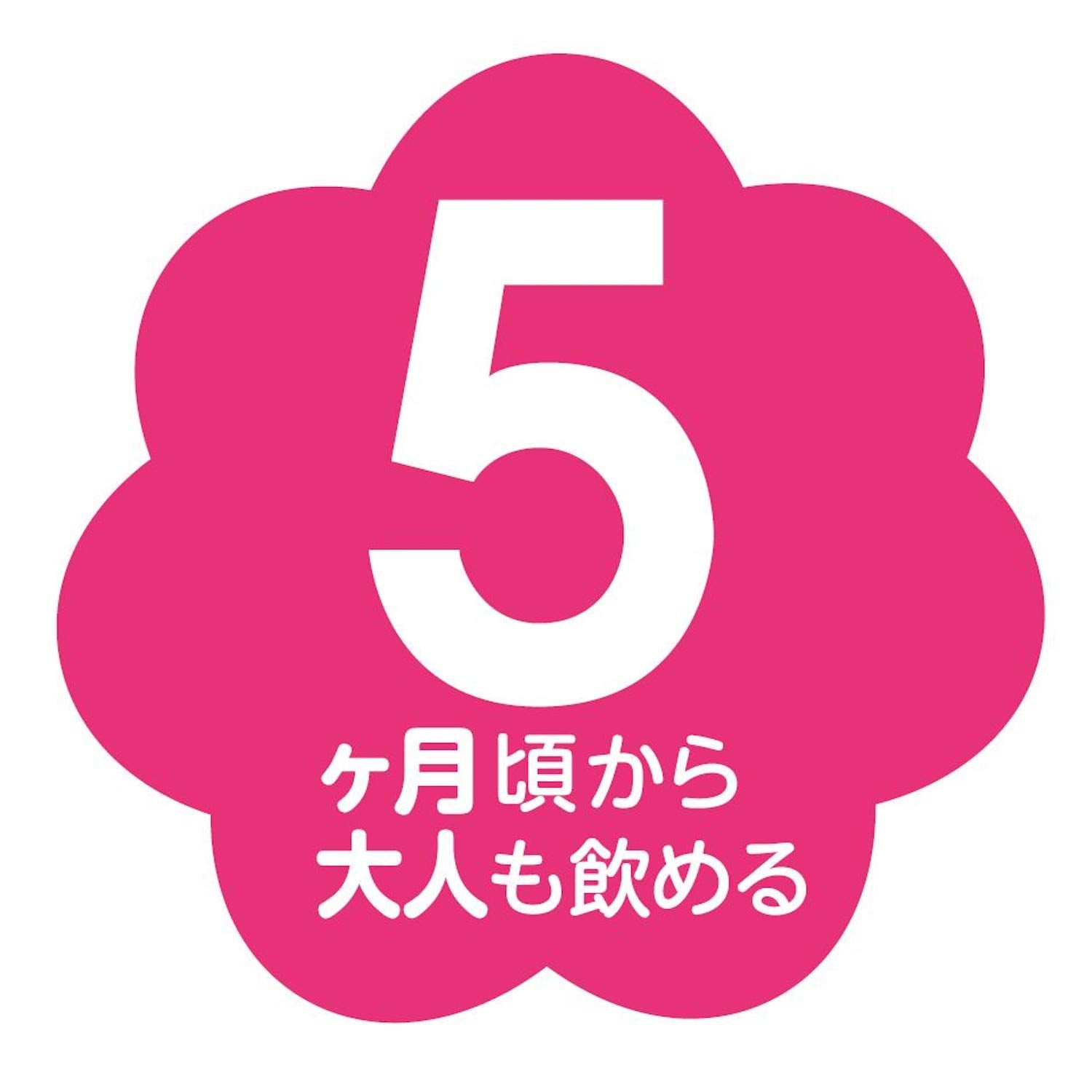 Hakubaku Barley tea that children will enjoy 52 packs x 12 pieces [From around 5 months]