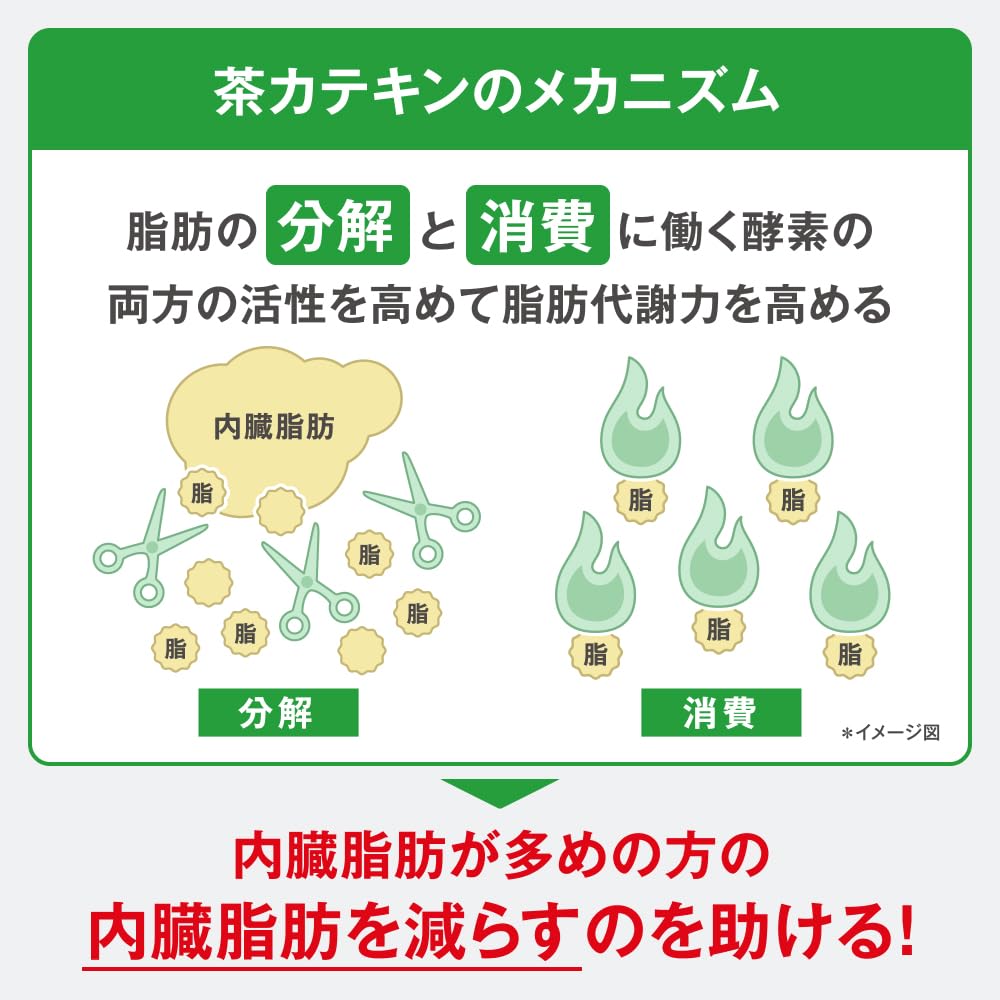 [특보] 기린 헤르시아 우마미 녹차 500ml 24병 페트병 차 무당 내장 지방을 줄이는 데 도움