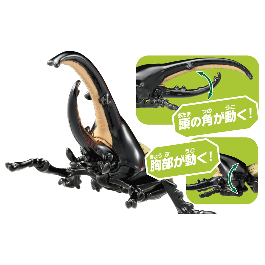 타카라 토미 (TAKARA TOMY) 아니아 AS-38 헤라클레스 오오카부토 곤충 장난감 3세 이상