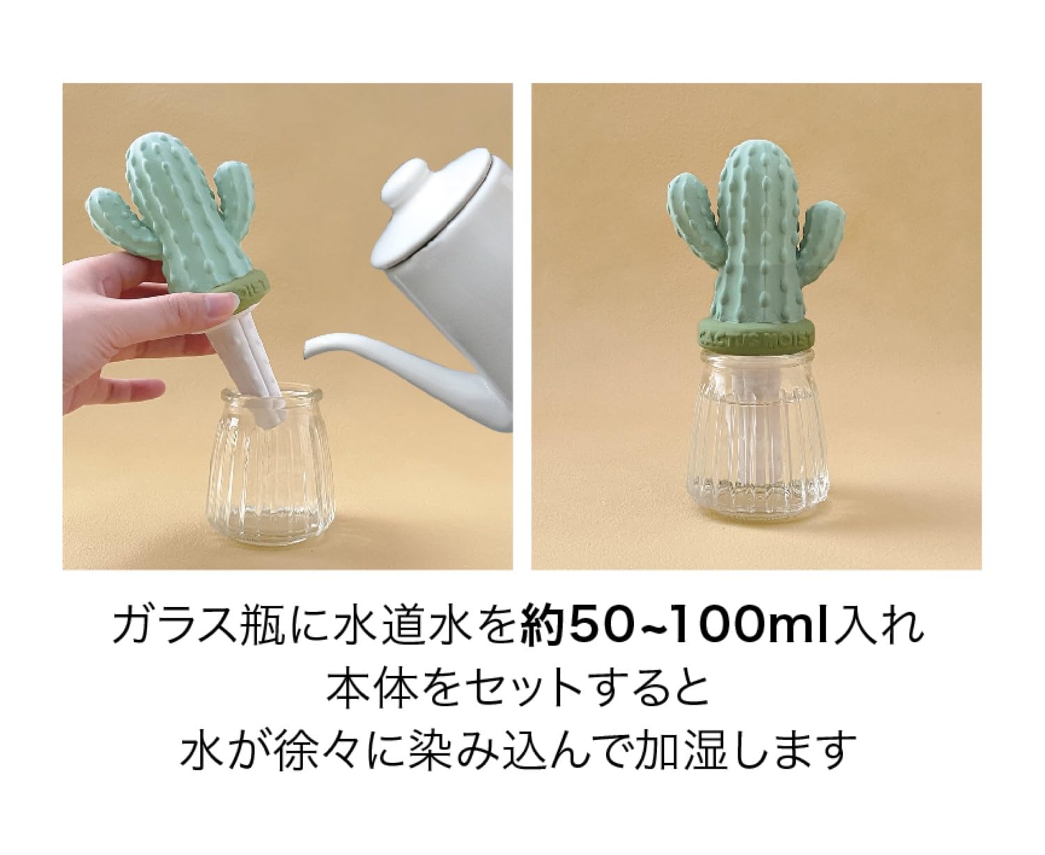 Decore Corporation Moisture Mascot BR Glass Cactus AG-47442