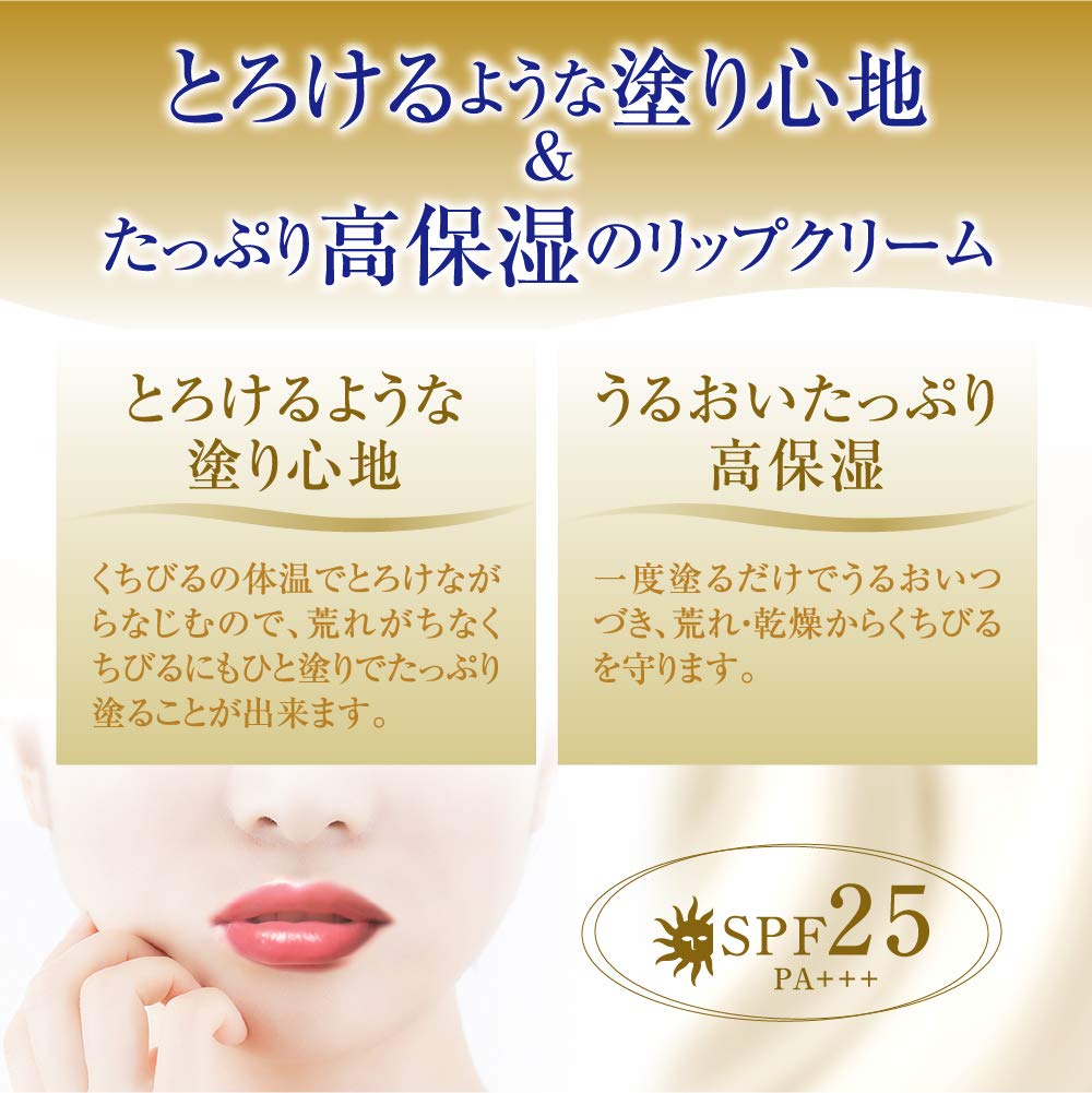 Mentholatum Lip Mentholatum Melty Cream Lip Milk Vanilla 2.4g