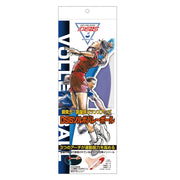 DSIS Sorbo Volleyball Purple 2L Pair