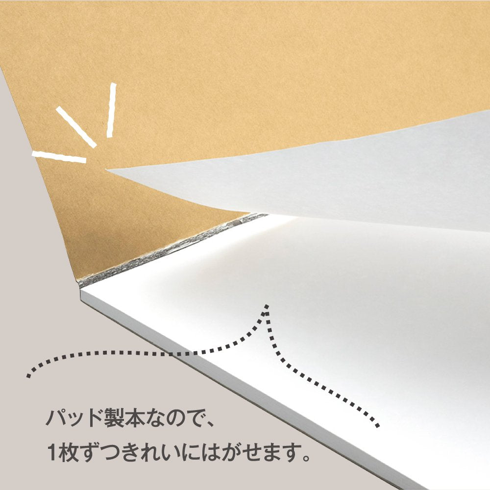 Maruman Sketchbook A4 Croquis Pad White Croquis Paper 100 Sheets S262