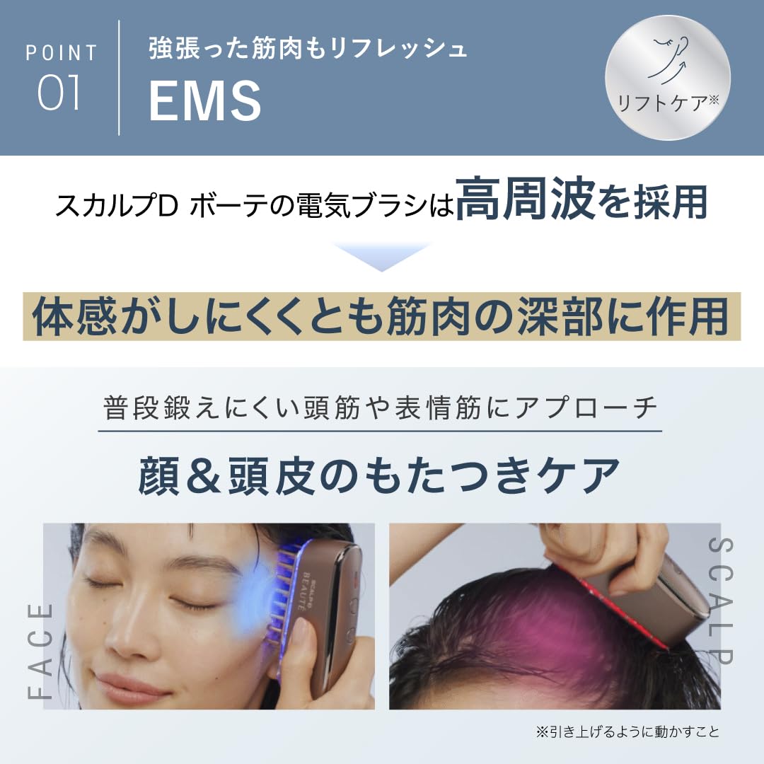 두개골 D 보테 두개골 전기 브러쉬 의사 감수