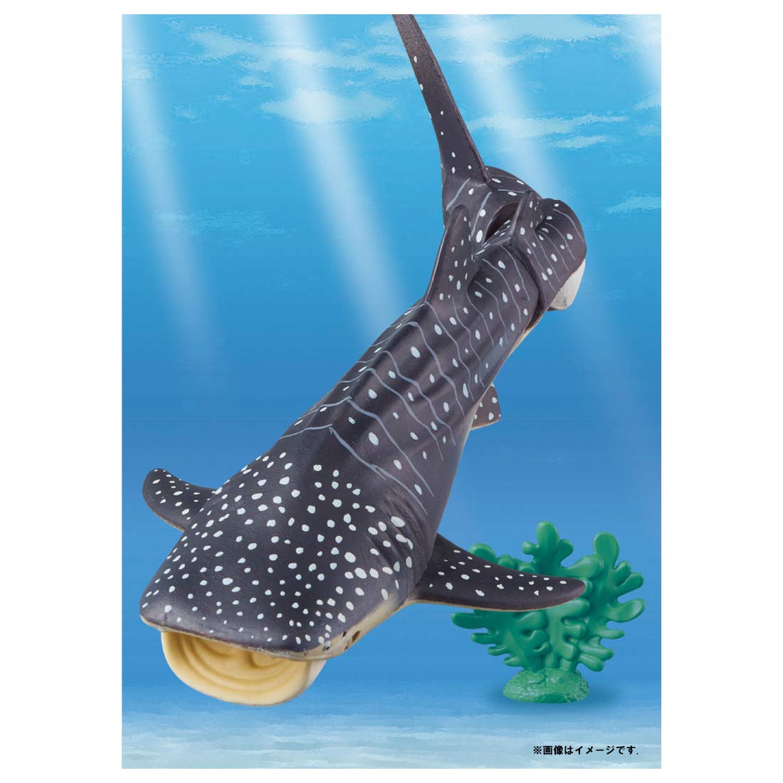 Takara Tomy Ania AL-05 Whale Shark (Floating Ver.) Animal Dinosaur Toy Ages 3+